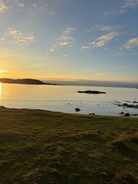 Sunset over calm ocean with grassy shoreline and rocks