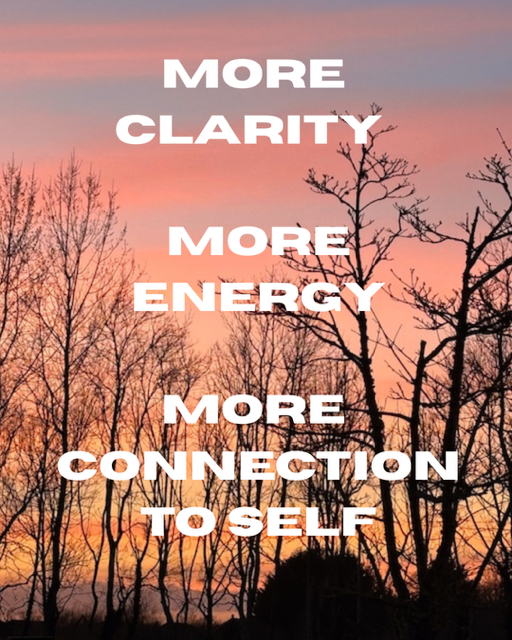 Sunset sky with pink and orange hues over leafless trees