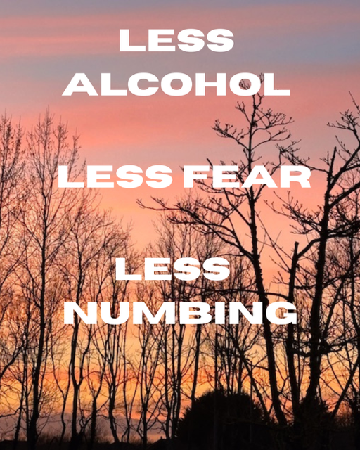 Sunset sky with leafless trees and an inspirational message reading 'Less Alcohol, Less Fear, Less Numbing' in white text.