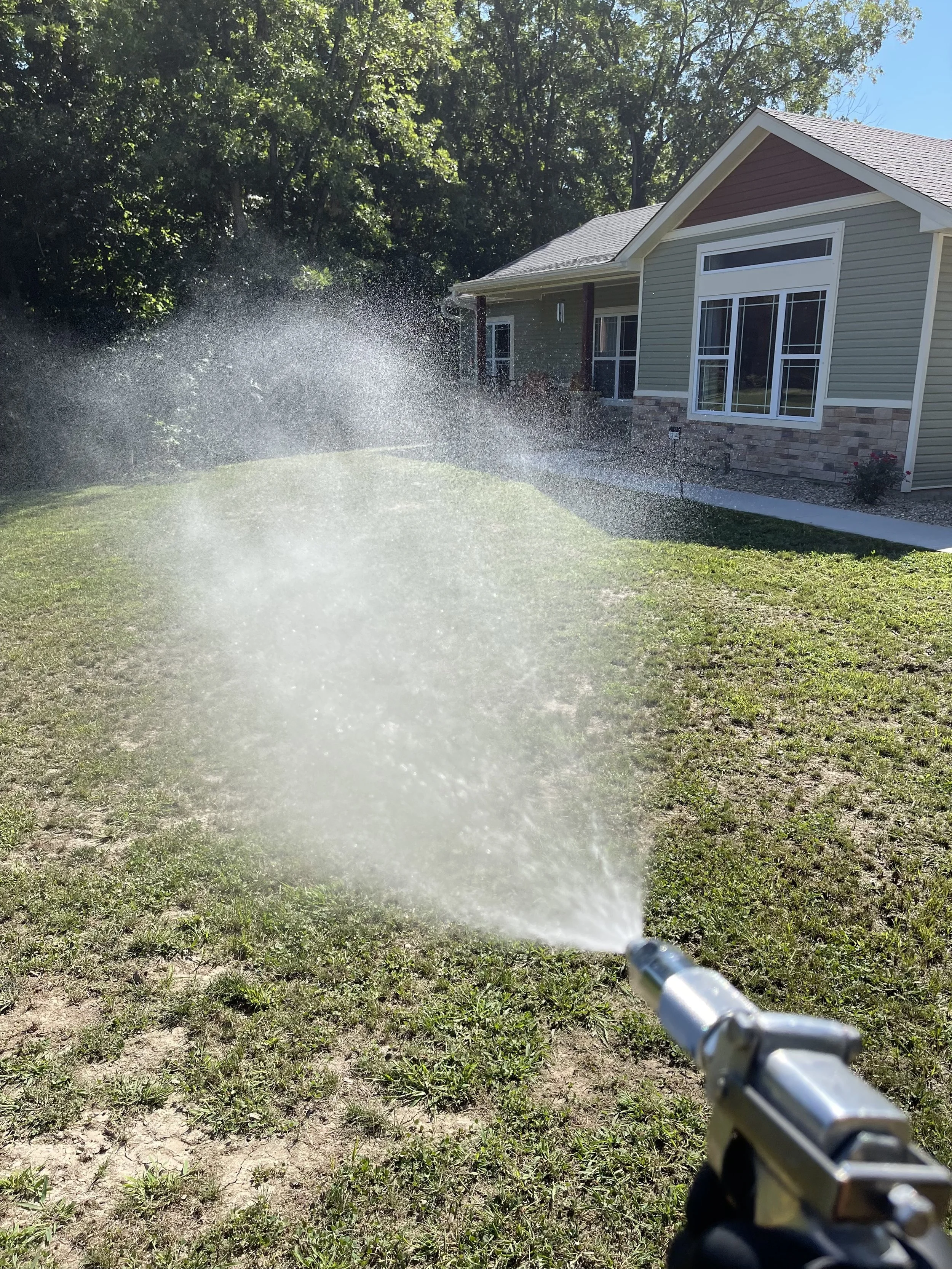 A yard being sprayed against pests.
