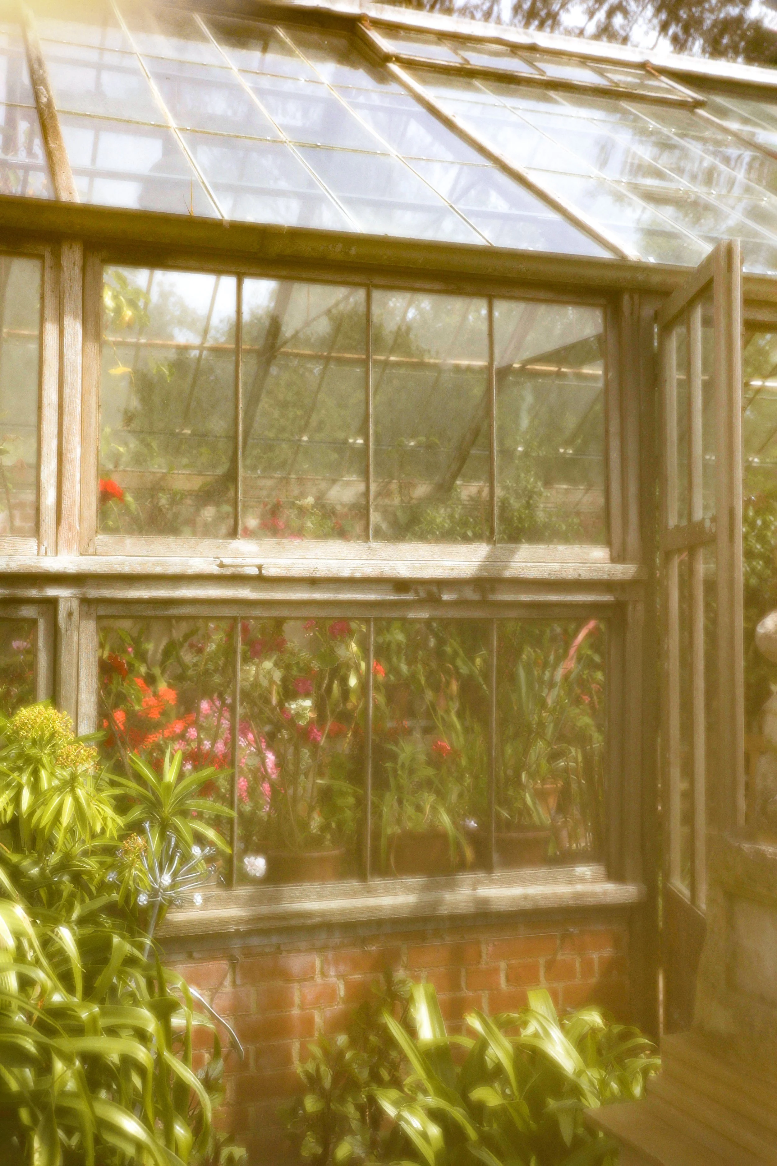 A greenhouse with glass panels and small potted plants inside, with green plants and flowers outside in front and at the bottom.