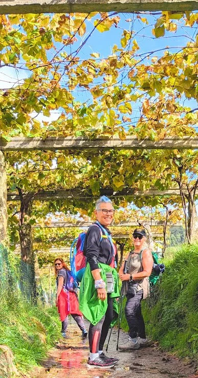 Three people, two women and one man, hiking on a trail surrounded by green grass and trees with yellow and green leaves, under a canopy of grapevine leaves, on a sunny day.