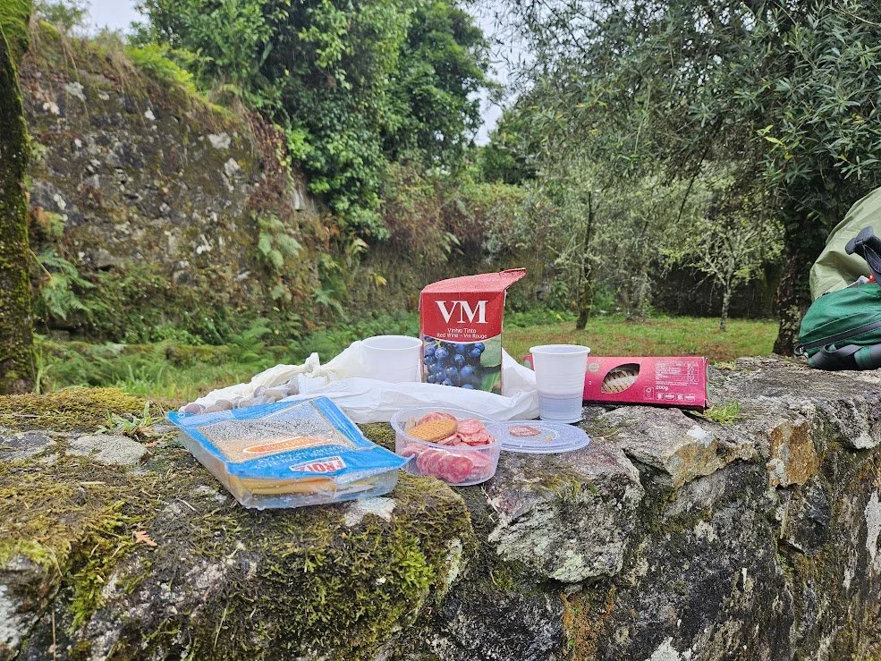 Picnic spread on a stone wall with food items including cookies, blueberries, and snacks, set outdoors with trees and greenery in the background.