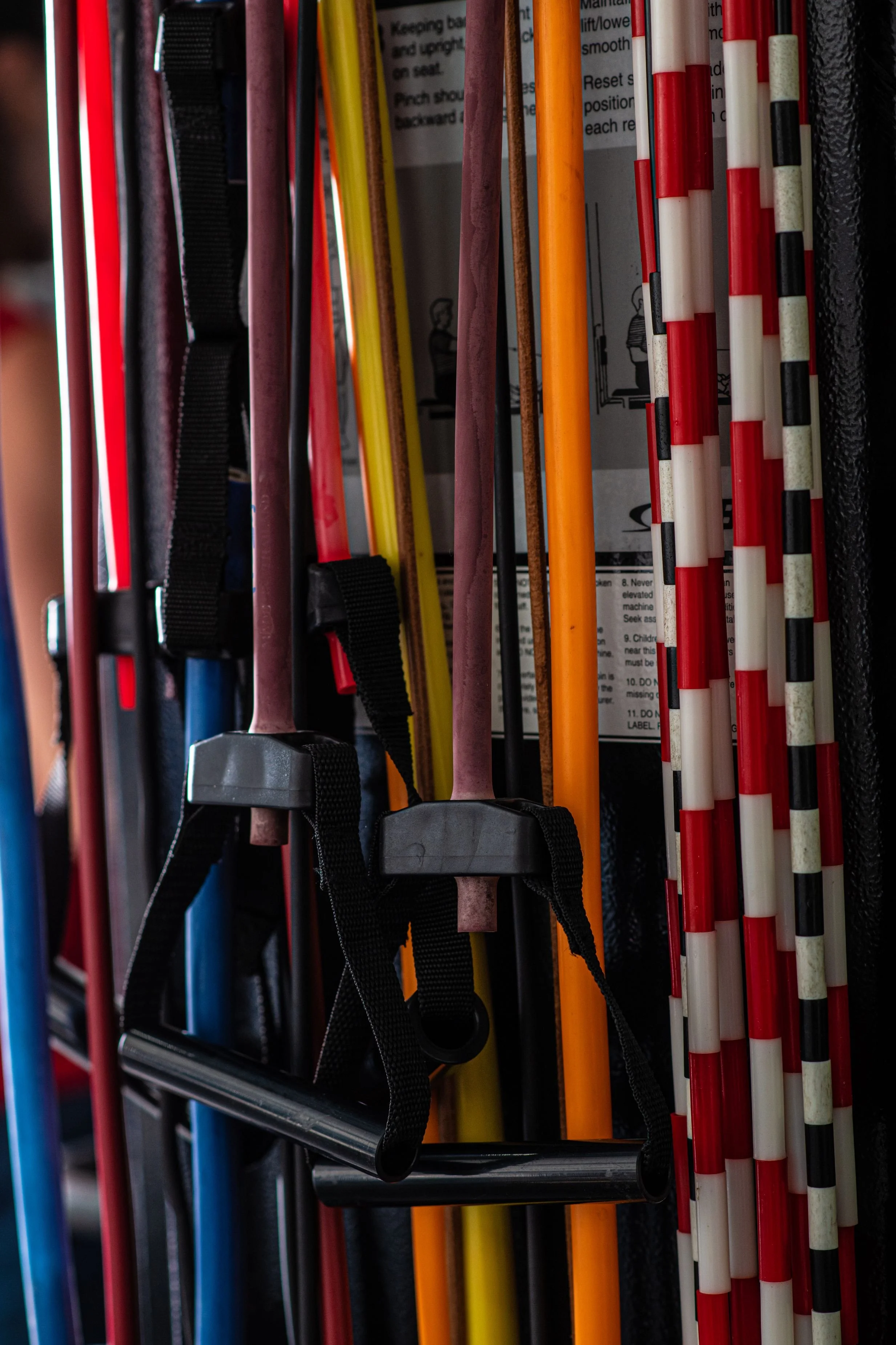 A shelf holding various colored plastic sticks and leashes, likely for guiding or controlling pets, with a background of a printed instruction sheet.
