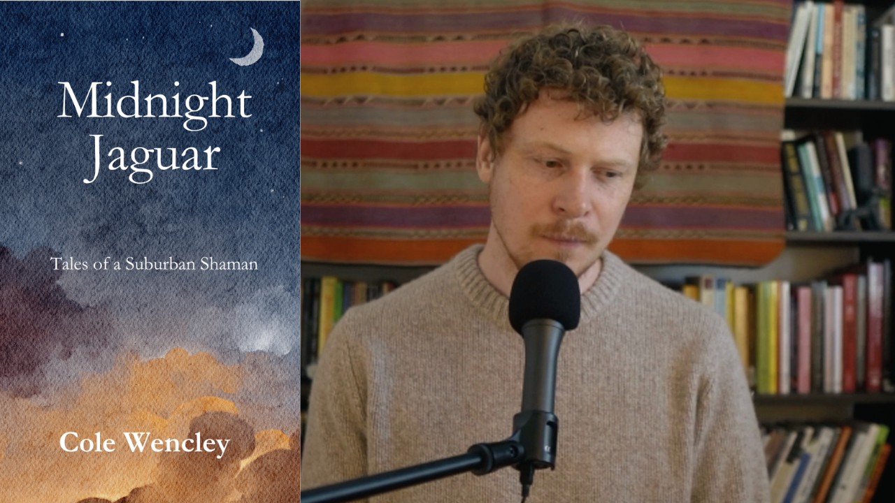 A Suburban Shaman. My Book &amp; Story.