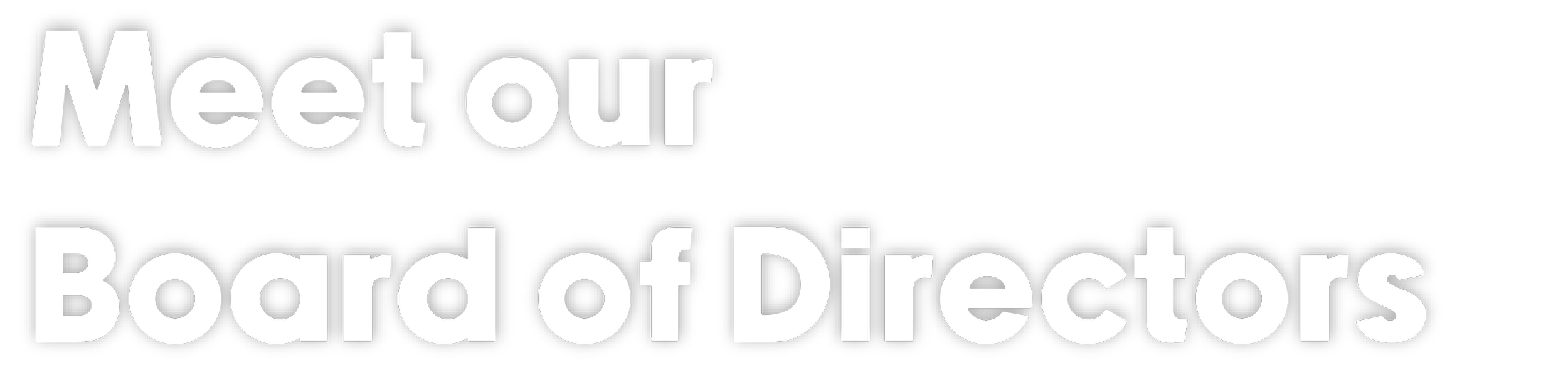 Meet our Board of Directors Subheader