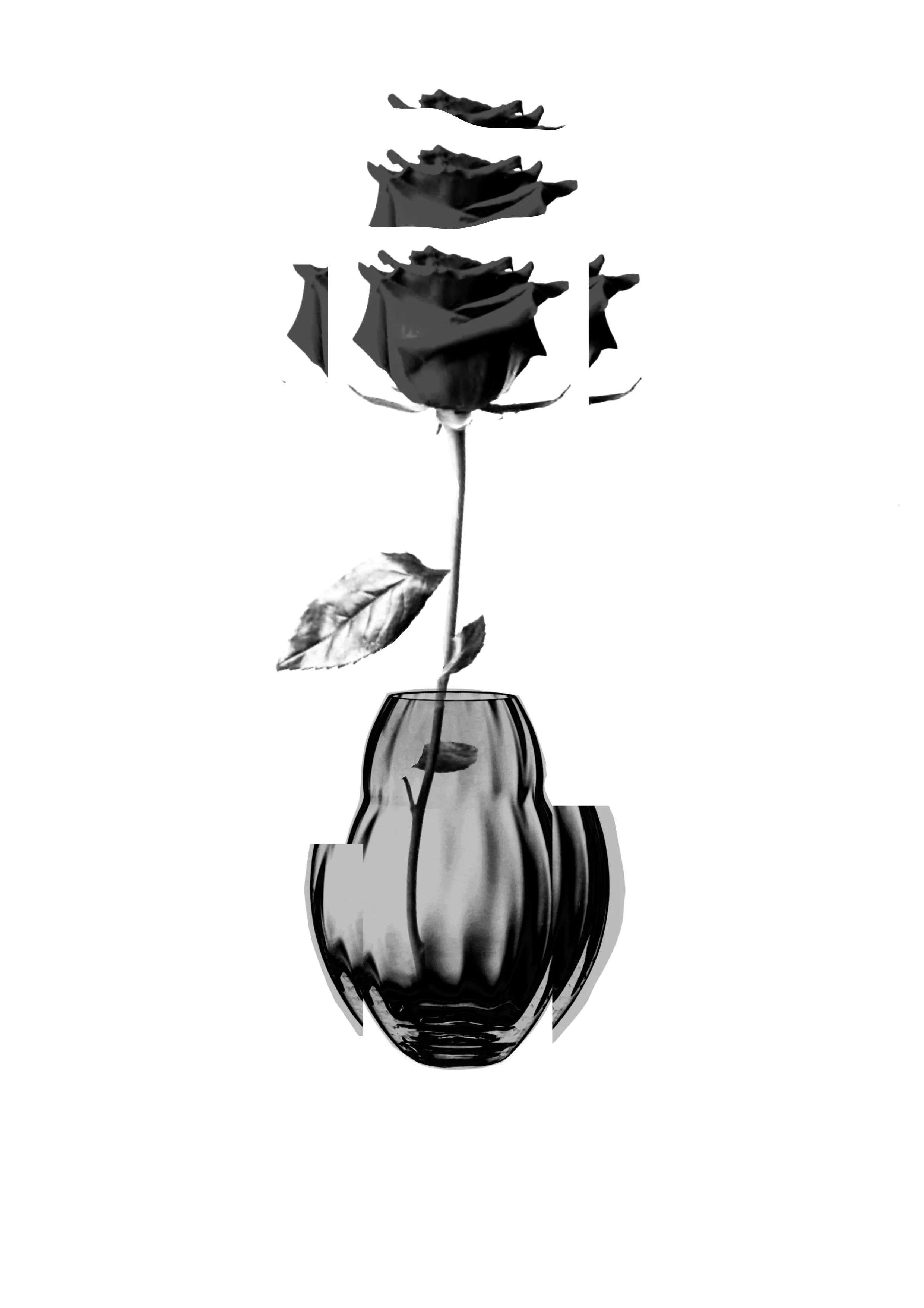 Black and white image of a leaded glass vase with a tall arched neck. Inside the vase, a single rose with some leaves is placed.