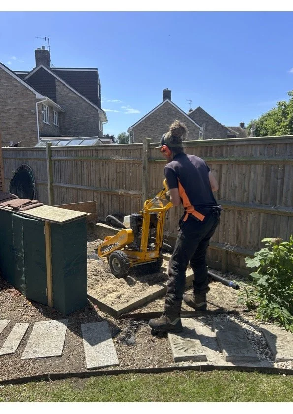 Stump grinding in Brighton 