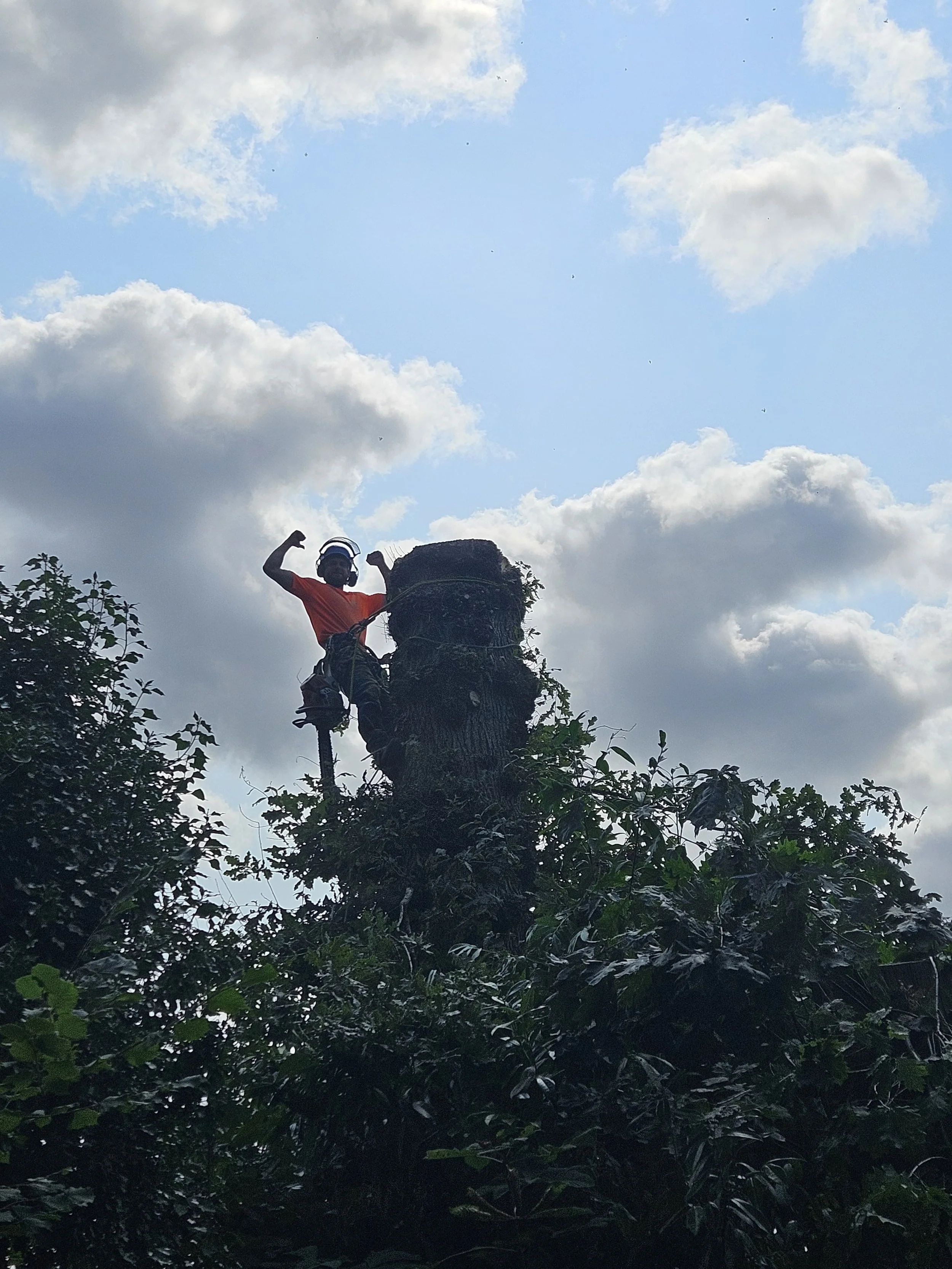 Person wearing headphones flexing arm while standing on tree stump in bushy outdoor setting with cloudy sky.