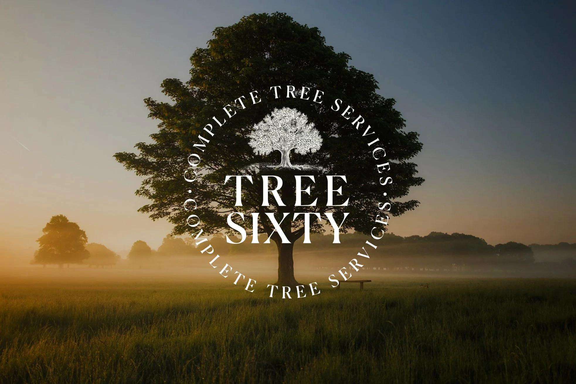 A logo with a tree illustration and circular text that reads 'Complete Tree Services' around the tree, and large text that says 'Tree Sixty' over a background of a foggy park with trees and a bench at sunrise or sunset.