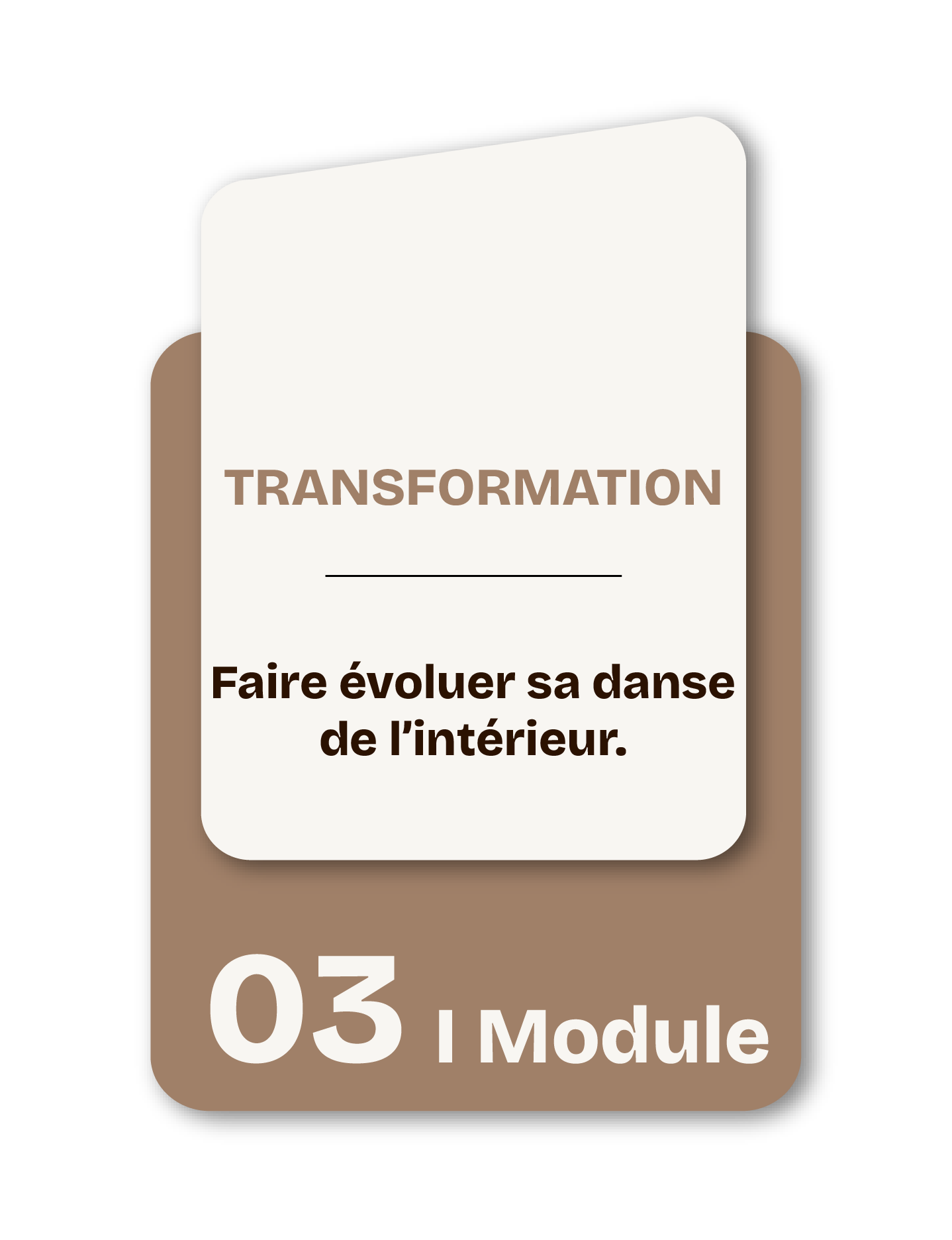 Capture d'écran d'une fiche produit pour un module d'apprentissage. La fiche indique la transformation de faire évoluer sa danse de l’intérieur, avec le numéro 03 et la mention Module.