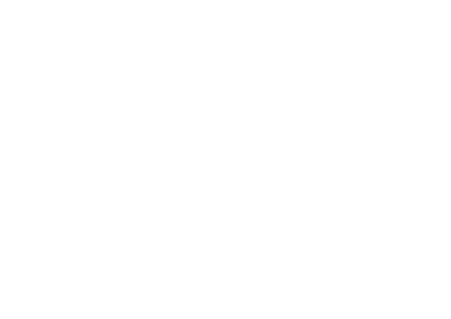 FNMConcept