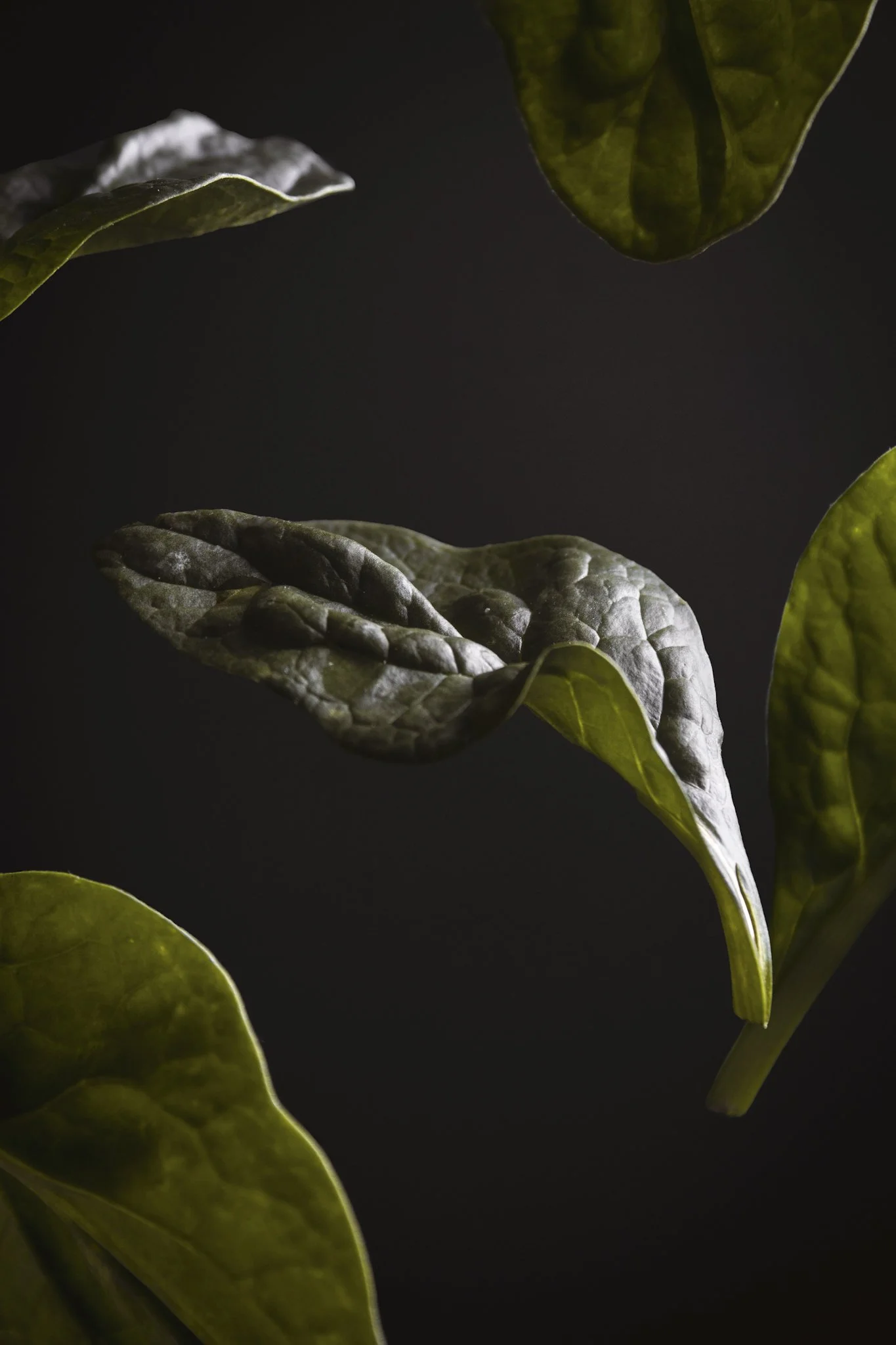 Spinach.jpg