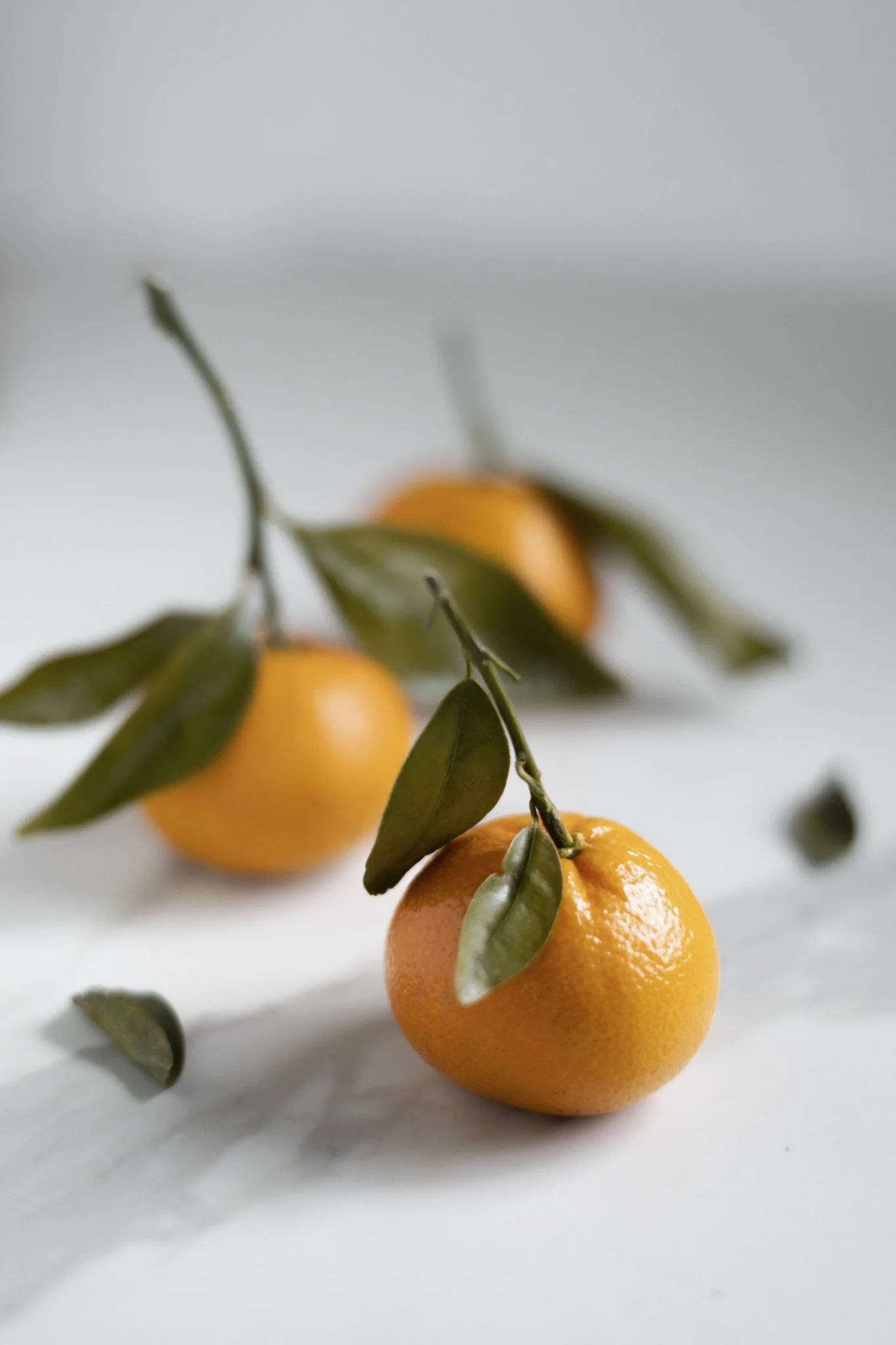 Oranges.jpg