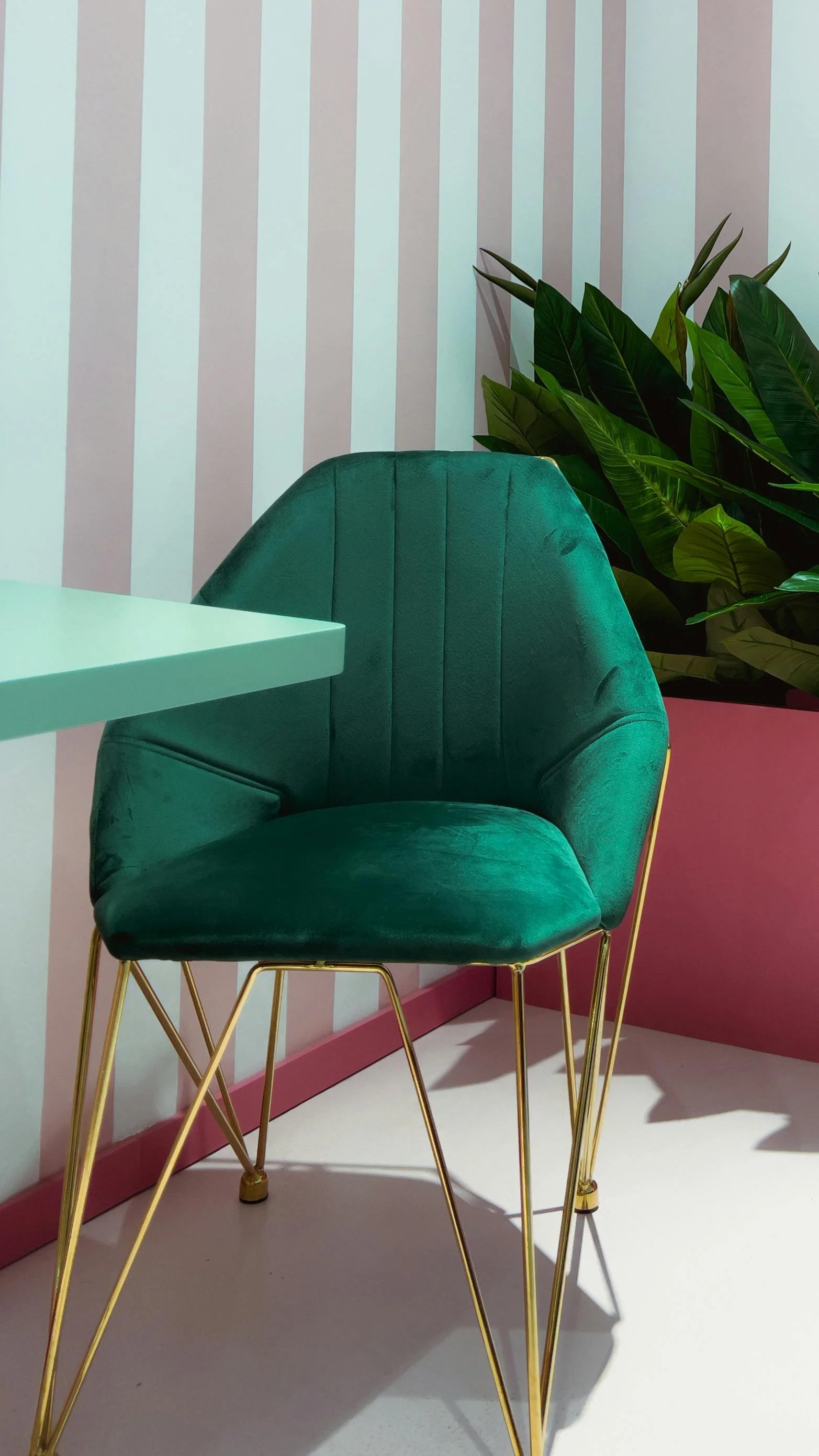 A green velvet chair with gold legs next to a light green table. Behind the chair, there is a houseplant with dark green leaves, and the wall has pink and white vertical stripes.