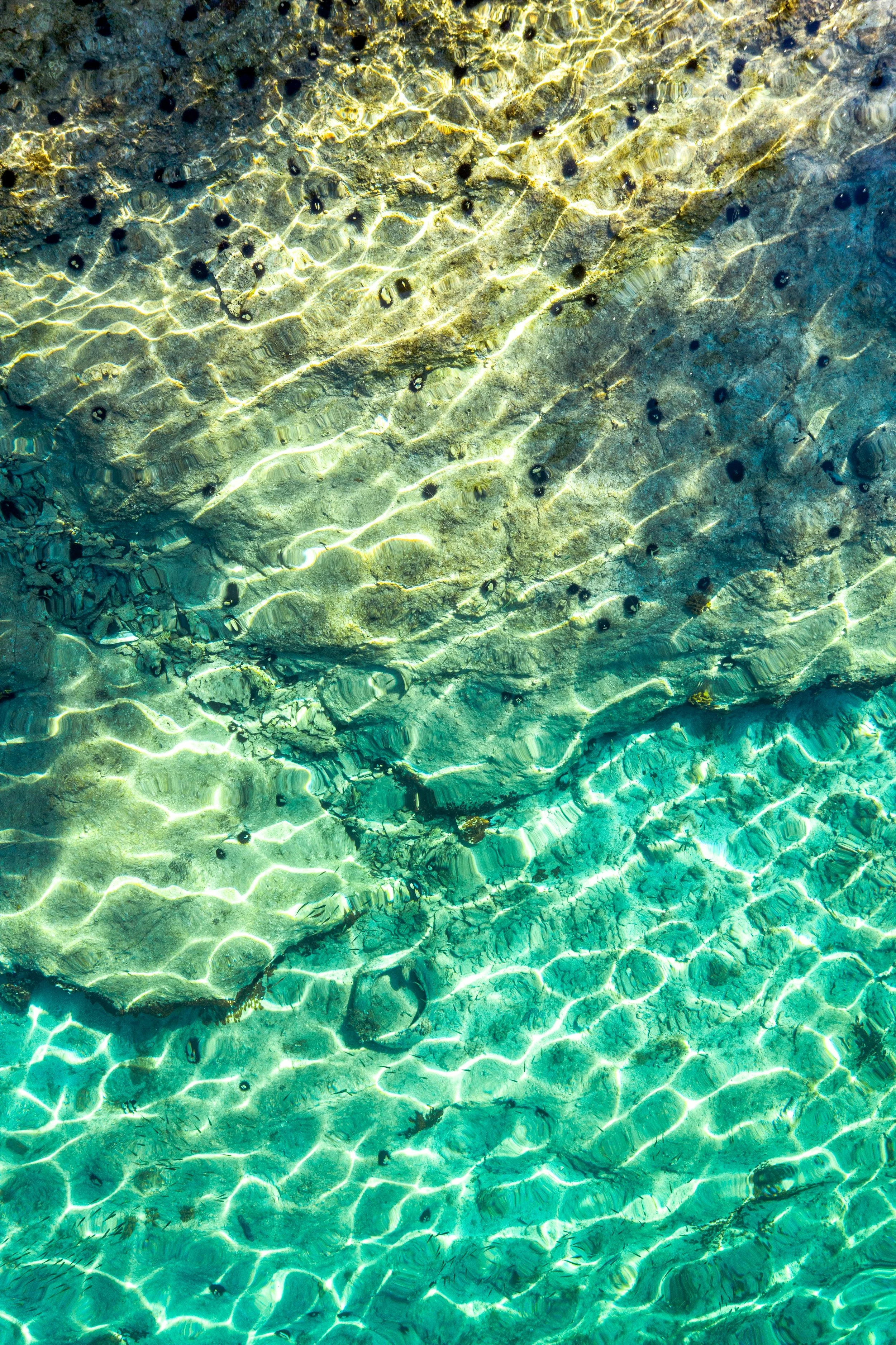 Underwater scene showing rocks and marine life with sunlight reflecting on the water surface.
