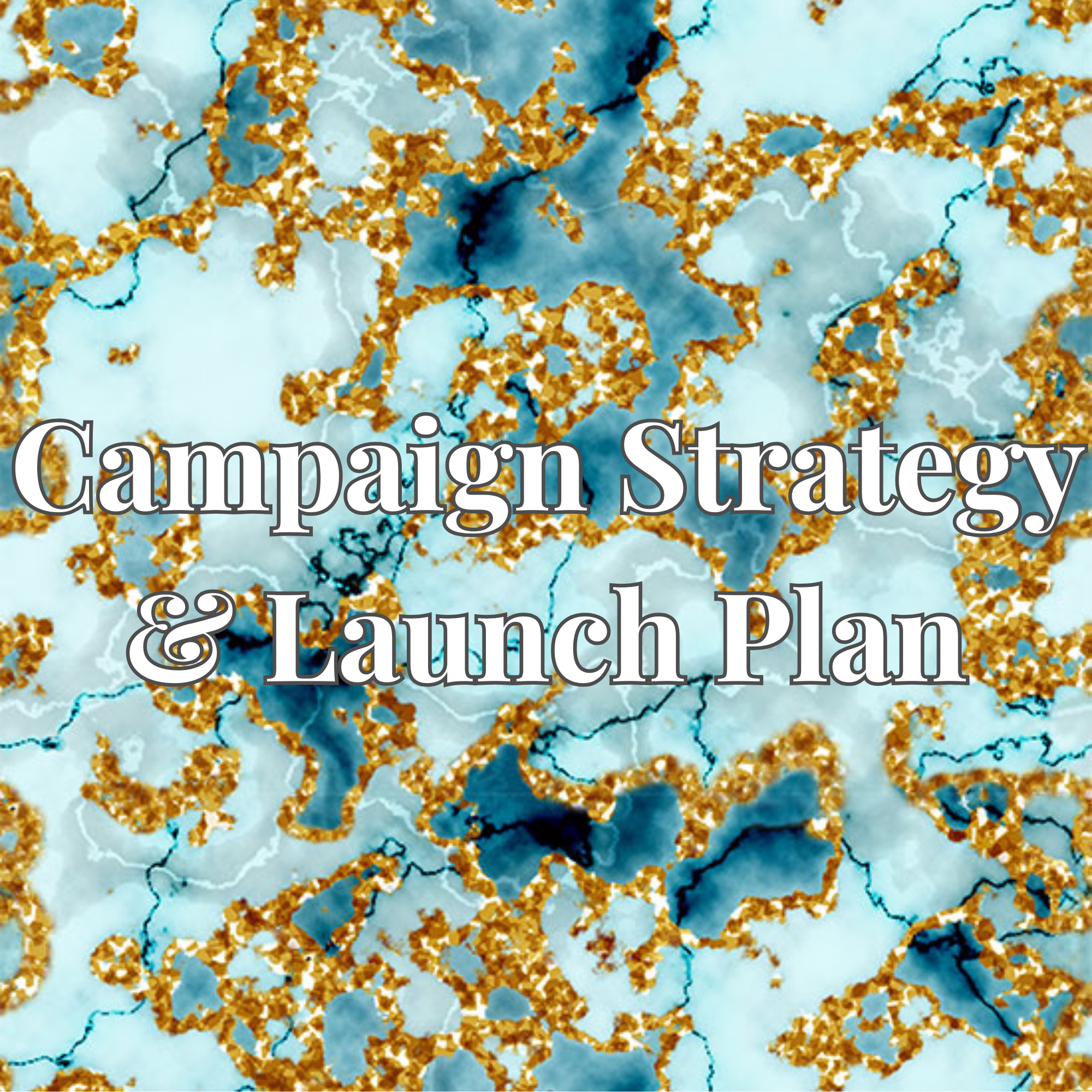 Campaign Strategy & Launch Plan