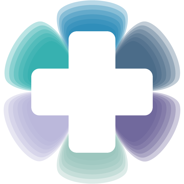 Variación del logotipo de BiMASS con cada uno de los escudos, que representan uno de los seis pilares del bienestar, se van degradando.