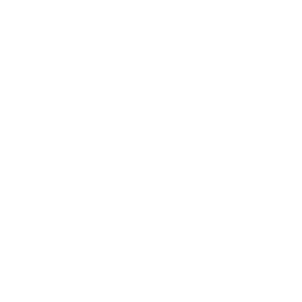 The Repair Movement