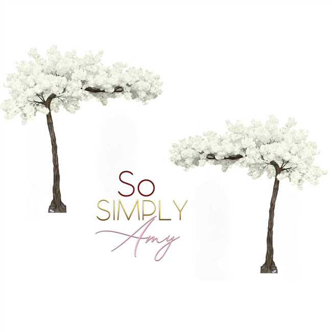 Wht_blossom_arch--2T.png