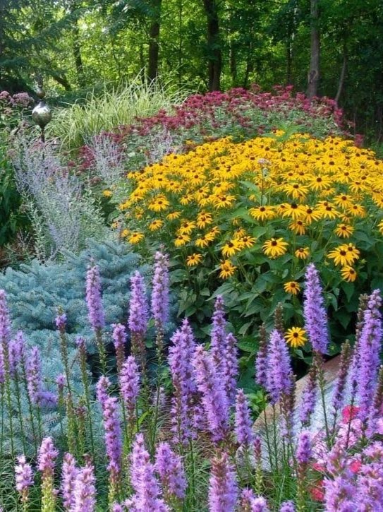 Colorful garden with yellow, purple, and pink flowers surrounded by green trees.