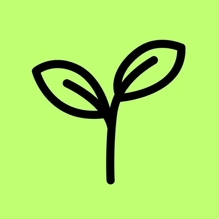 Simple black outline of a sprouting plant with two leaves against a light green background.
