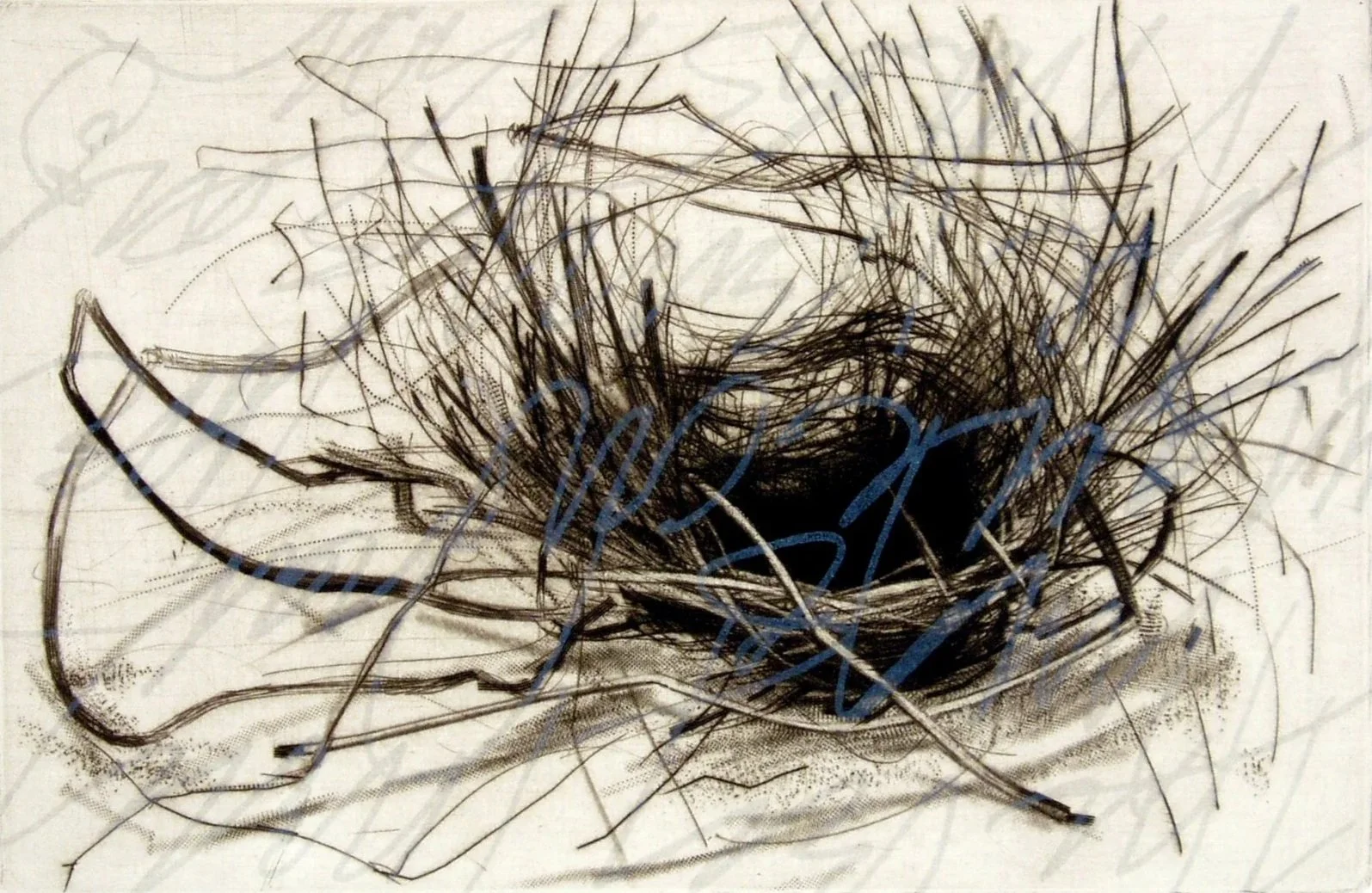 A print of a nest with an intricate network of lines and a dark center, with some blue markings surrounding it.