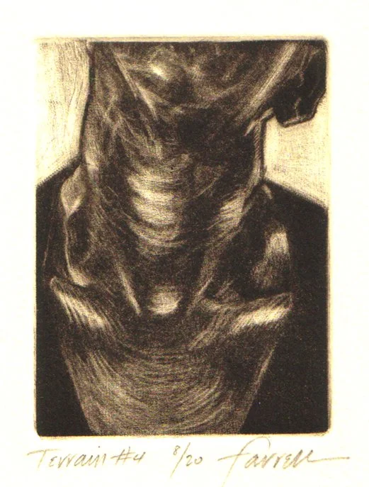 
Terrain #4, 
Mezzotint, 3 ¾” x 2 ¾”, 2000