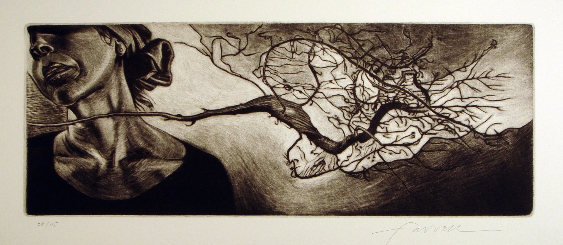 Untitled, 
Mezzotint, drypoint, 5 ½” x 14 1/8”, 2012