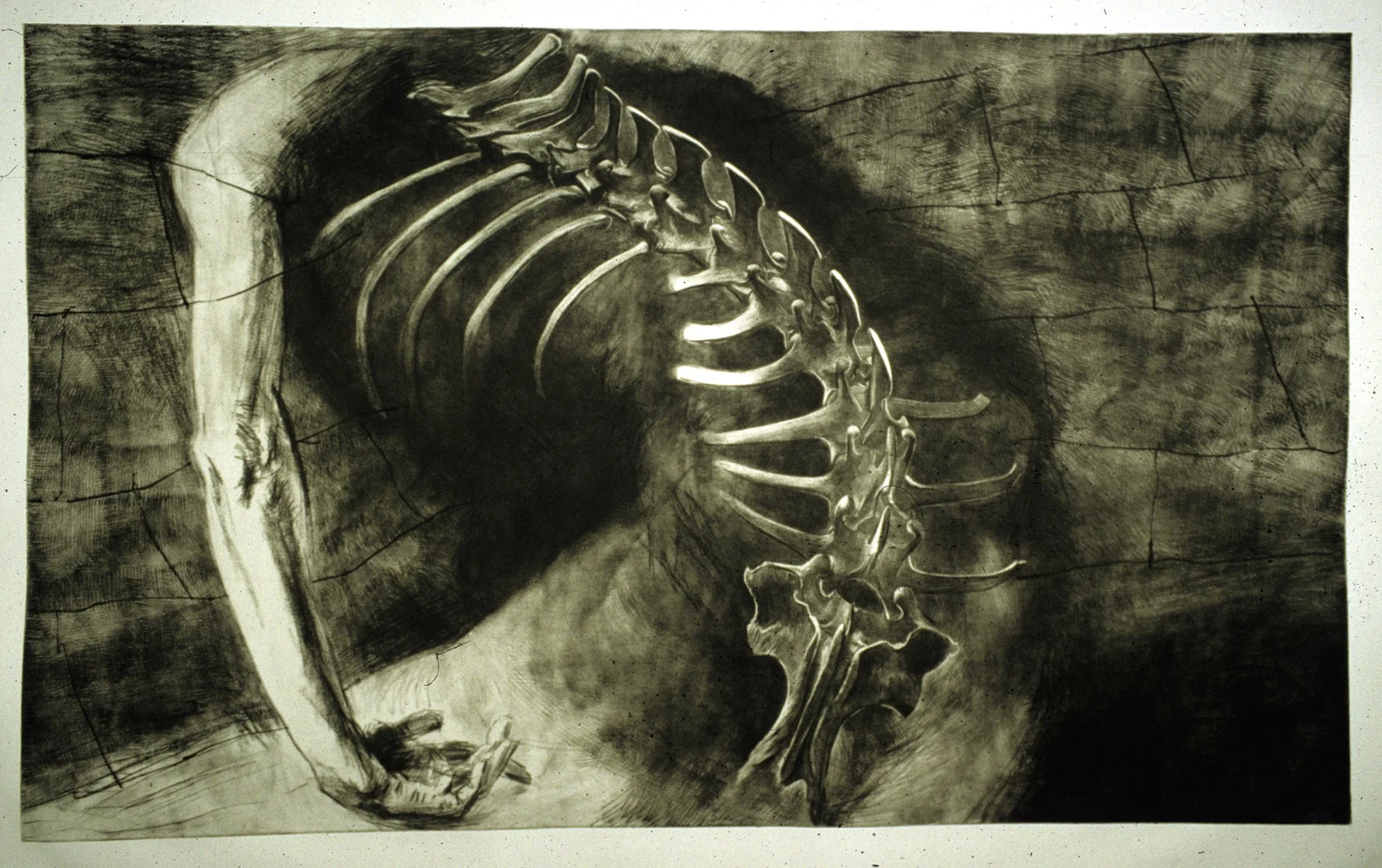 The Human Condition, 
Mezzotint, drypoint, 24” x 40”, 1995