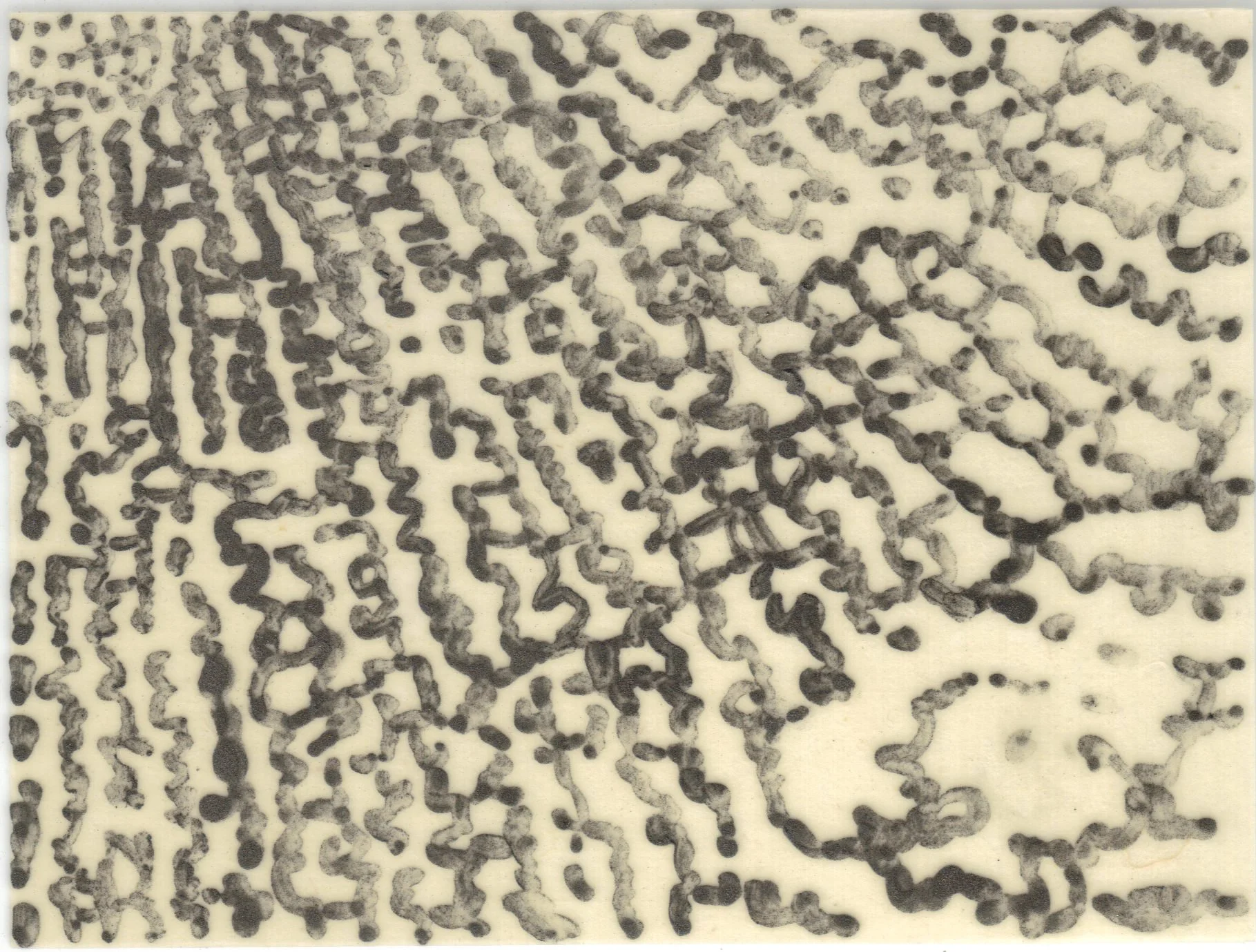 Meditation on Skin 89.jpg