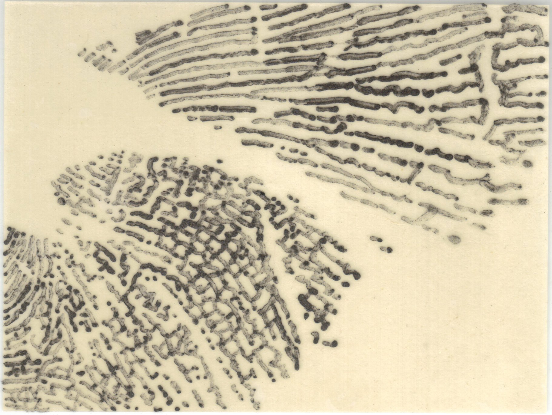 Meditation on Skin 90.jpg