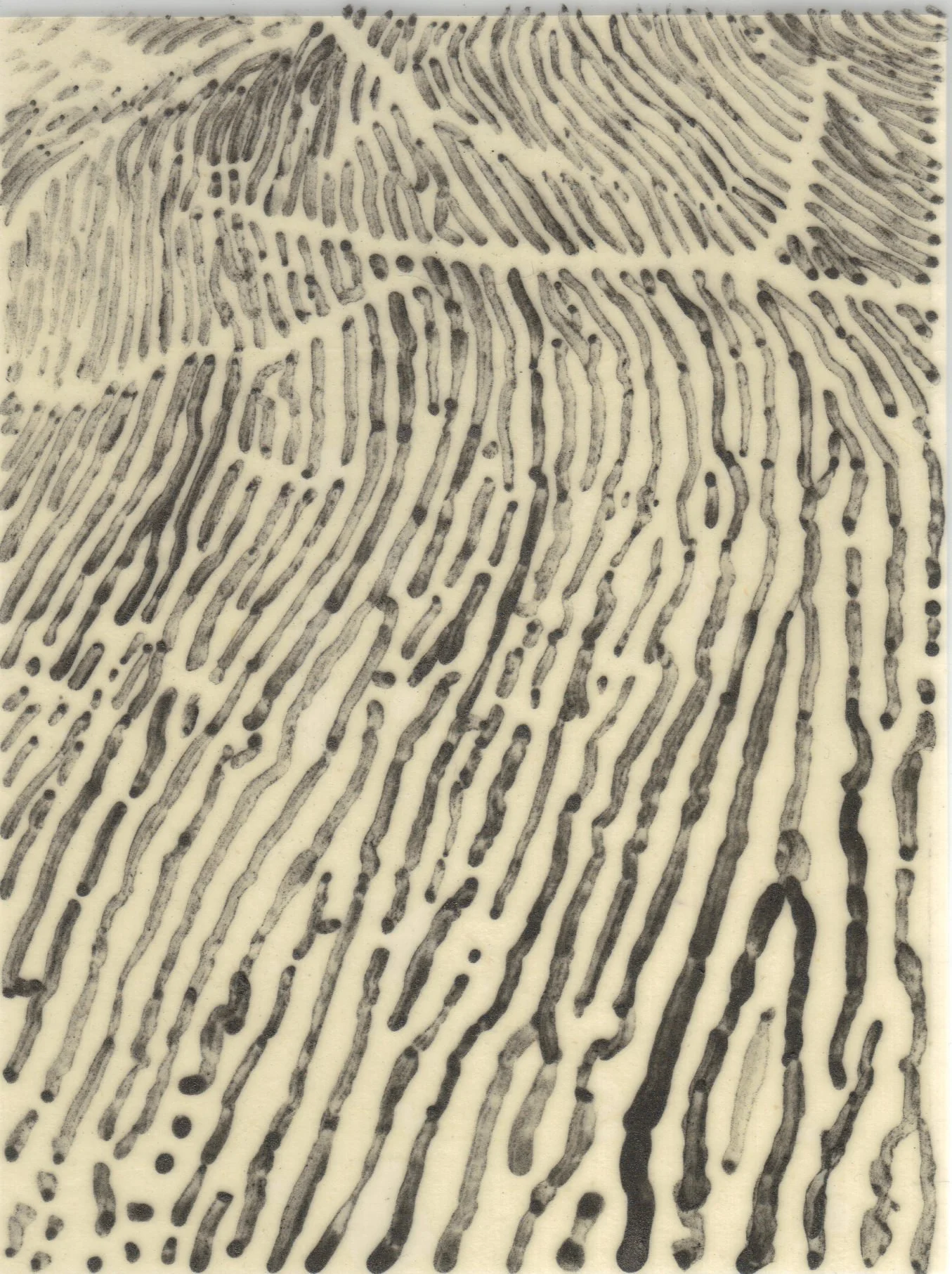 Meditation on Skin 7.jpg