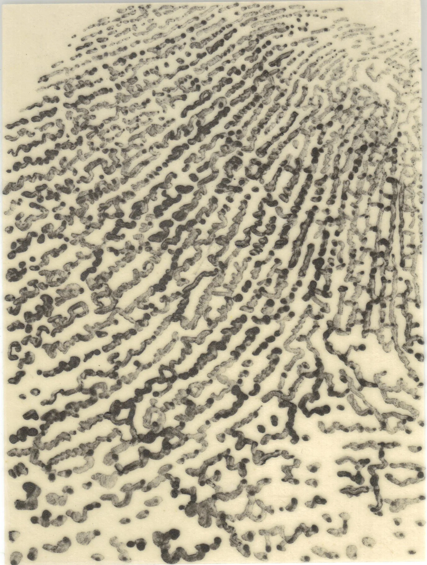 Meditation on Skin 91.jpg
