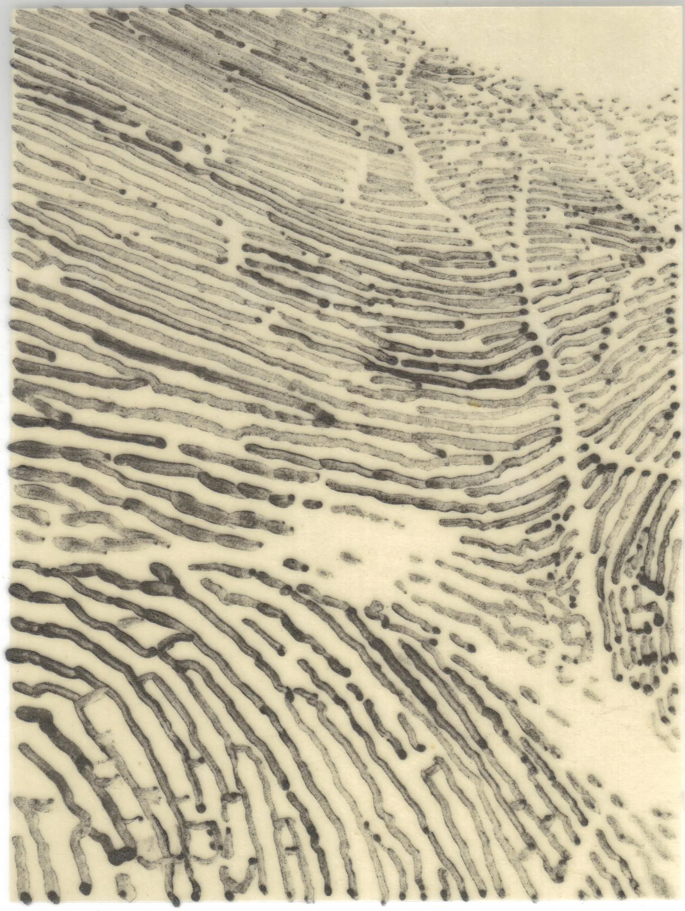 Meditation on Skin 87.jpg