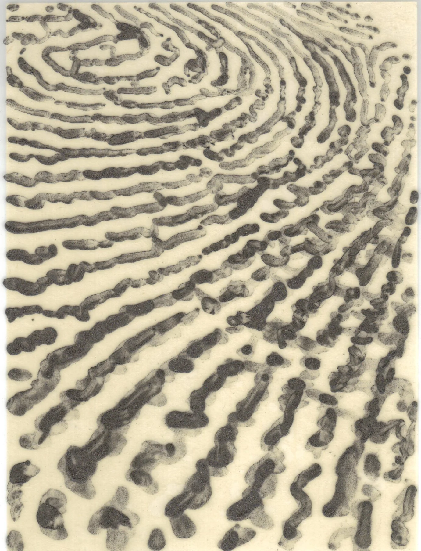 Meditation on Skin 41.jpg
