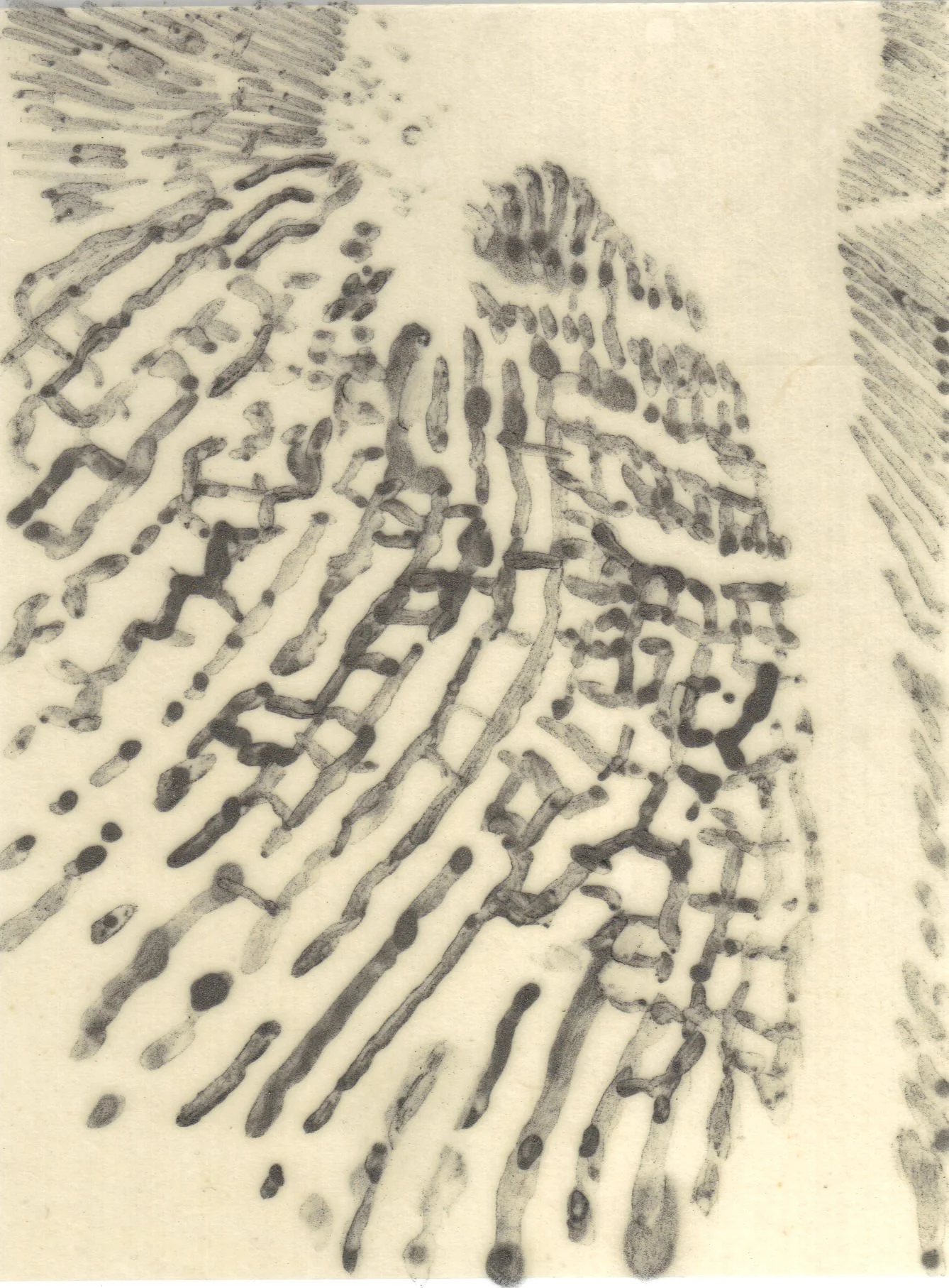 Meditation on Skin 15.jpg