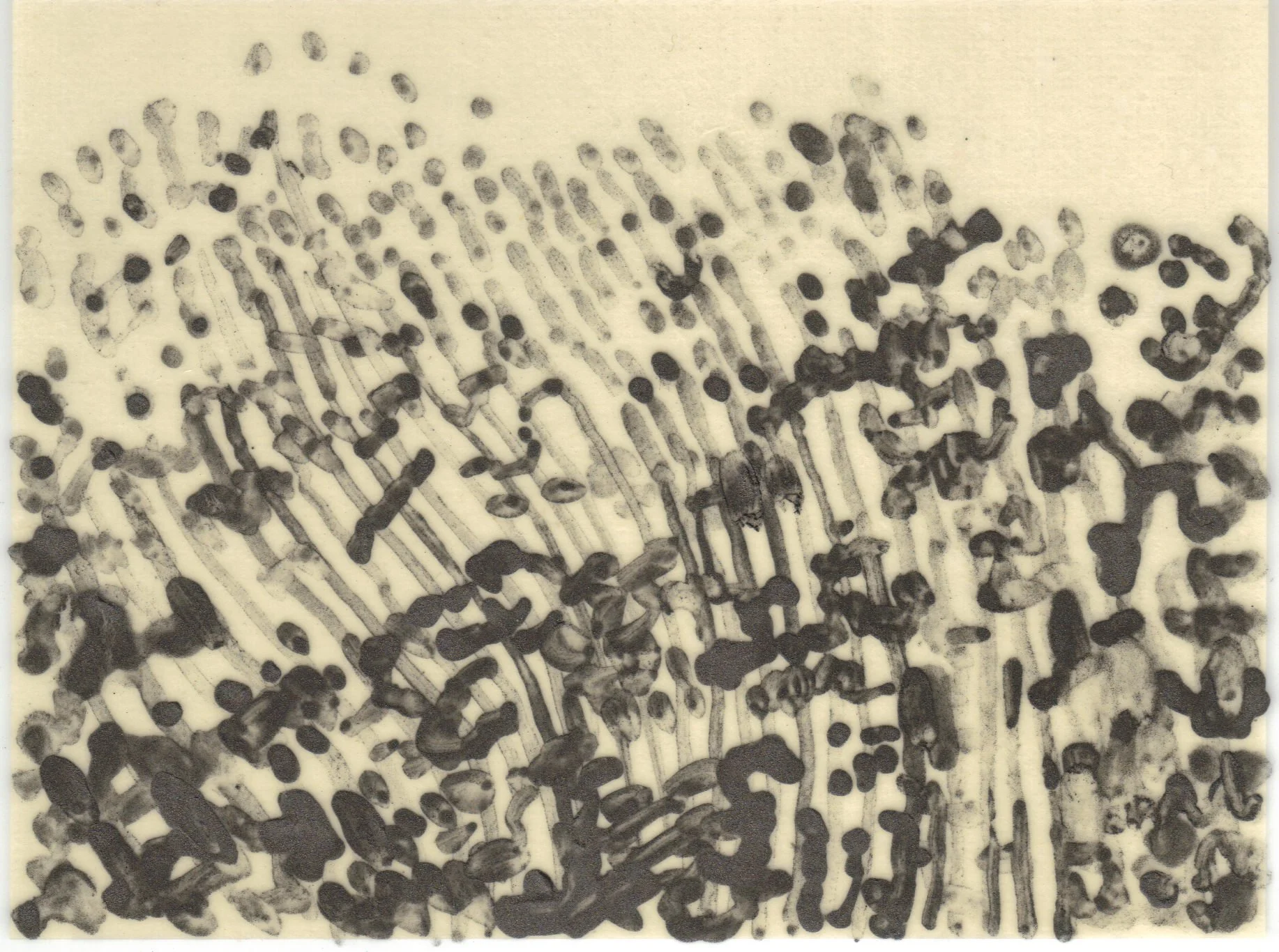 Meditation on Skin 35.jpg