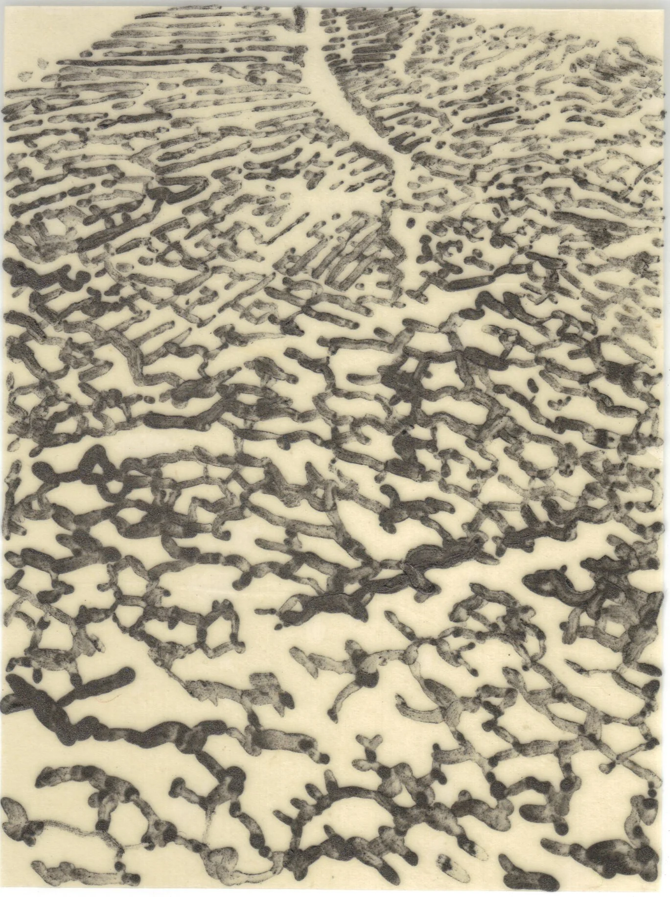 Meditation on Skin 55.jpg