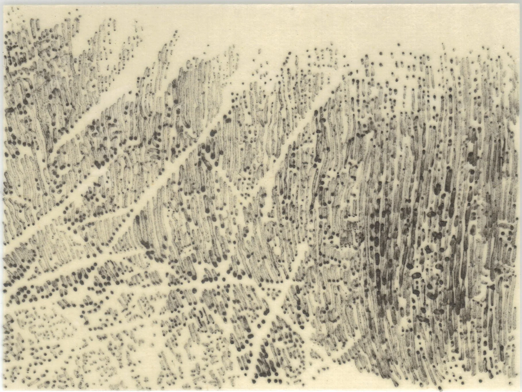 Meditation on Skin 88.jpg