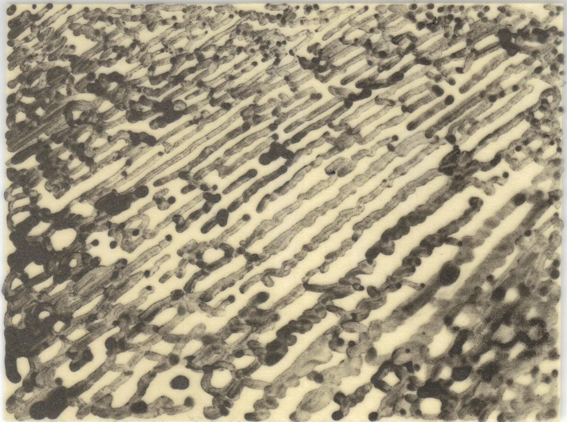 Meditation on Skin 81.jpg