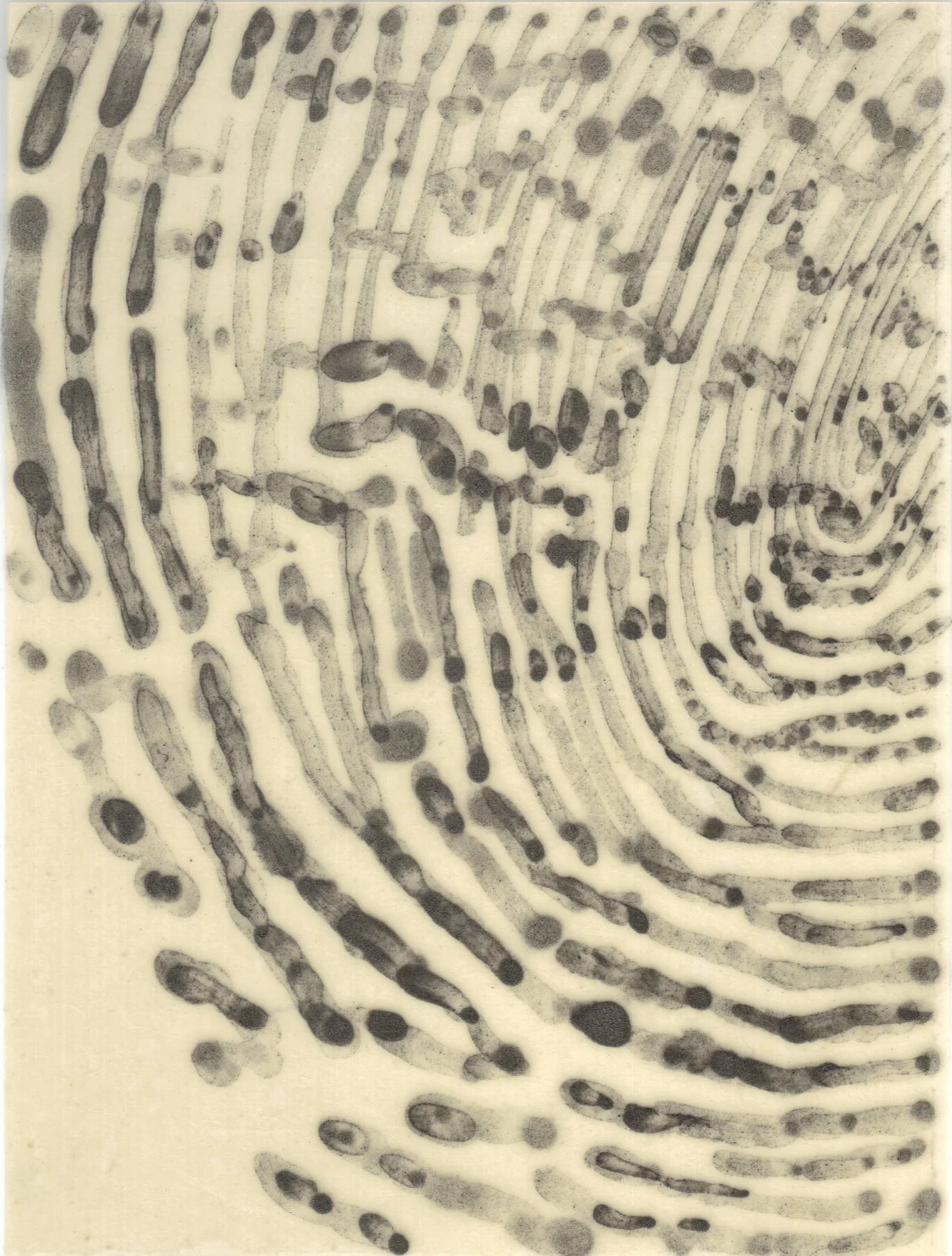 Meditation on Skin 99.jpg