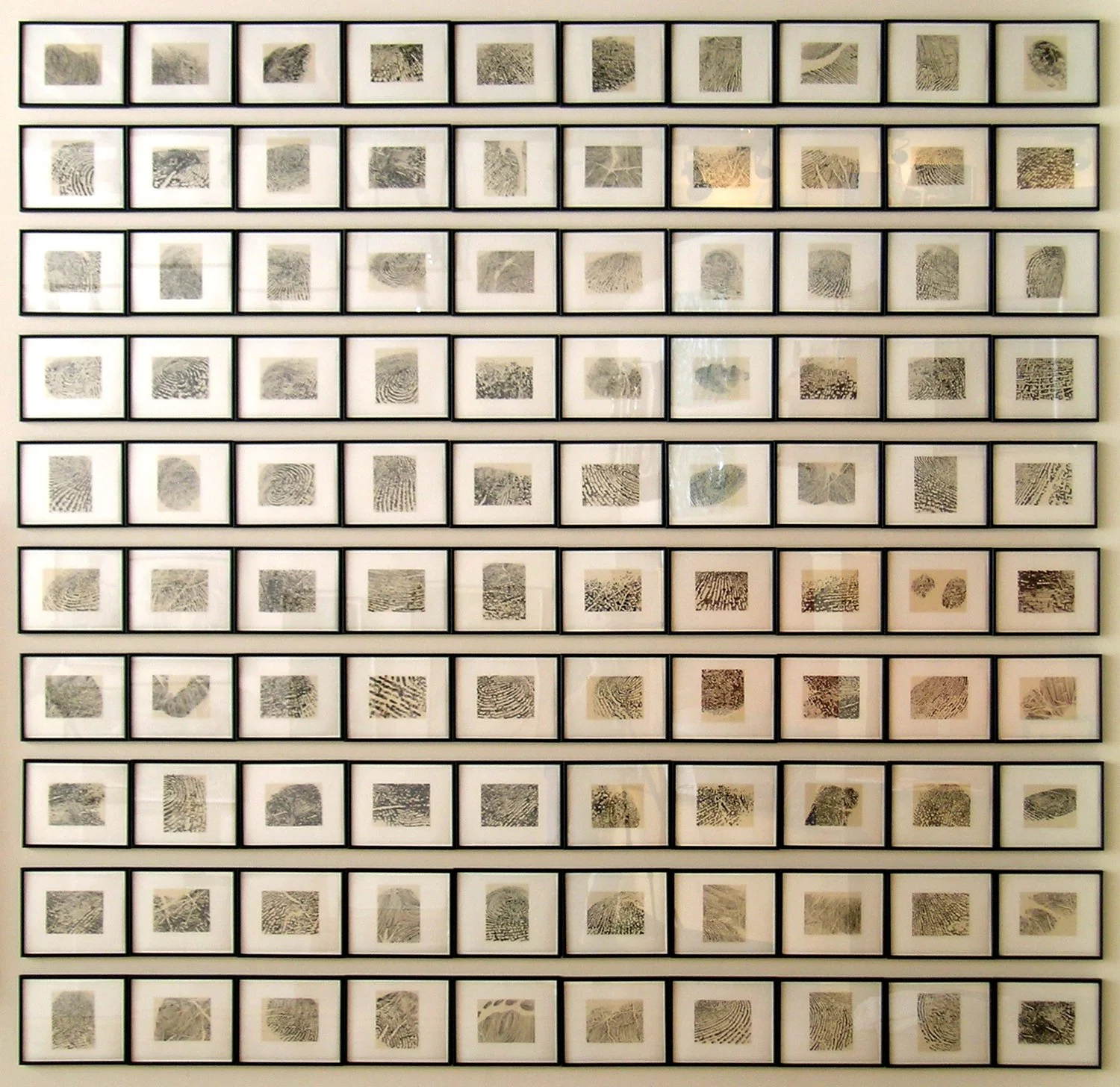 Meditations on Skin -gang of 100 drawings.jpg