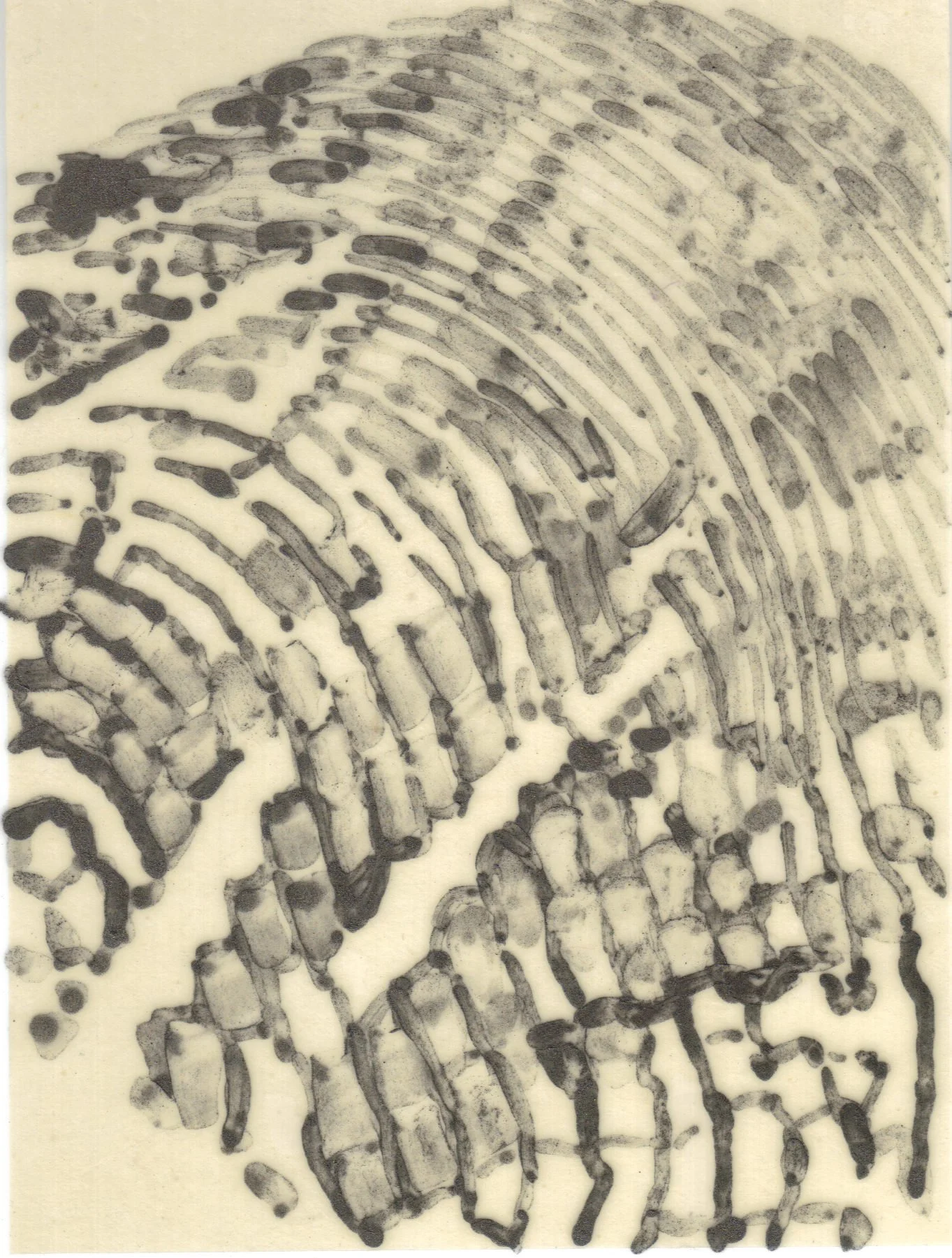 Meditation on Skin 94.jpg
