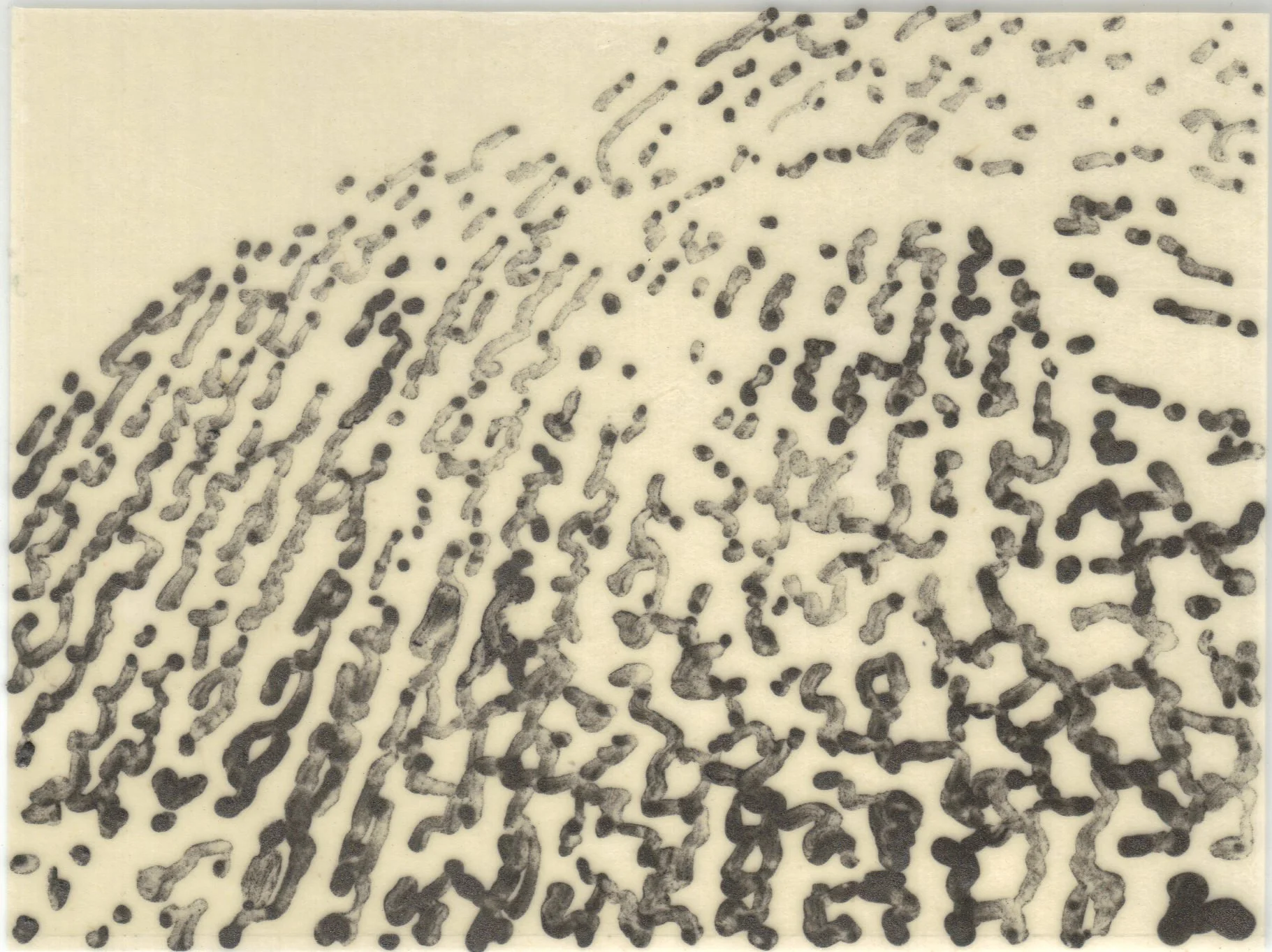 Meditation on Skin 86.jpg