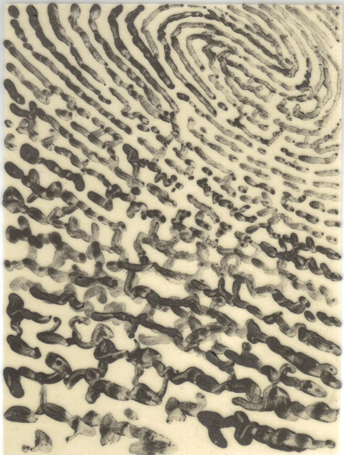Meditation on Skin 49.jpg