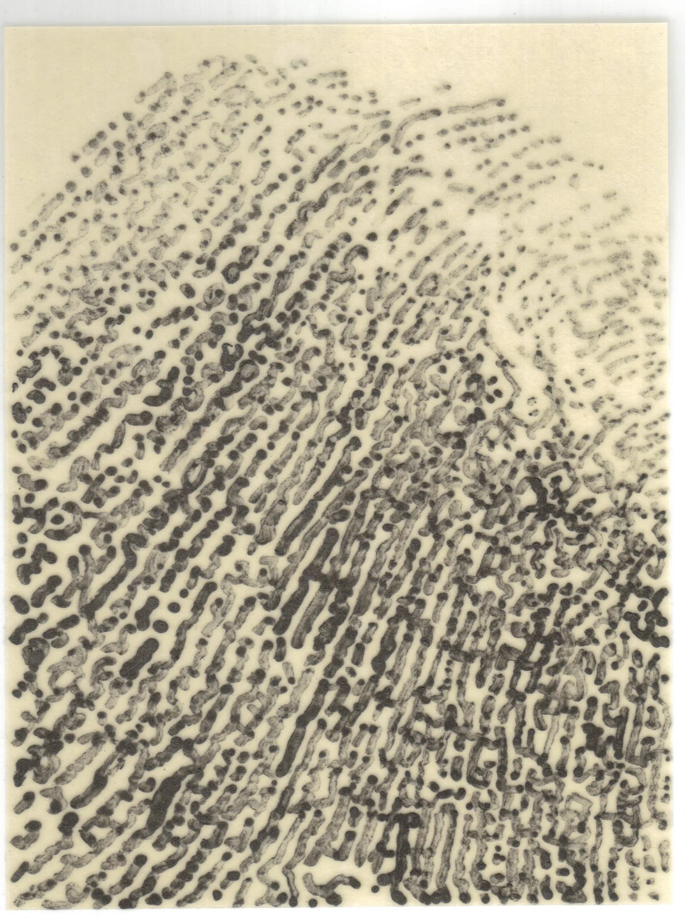Meditation on Skin 22.jpg