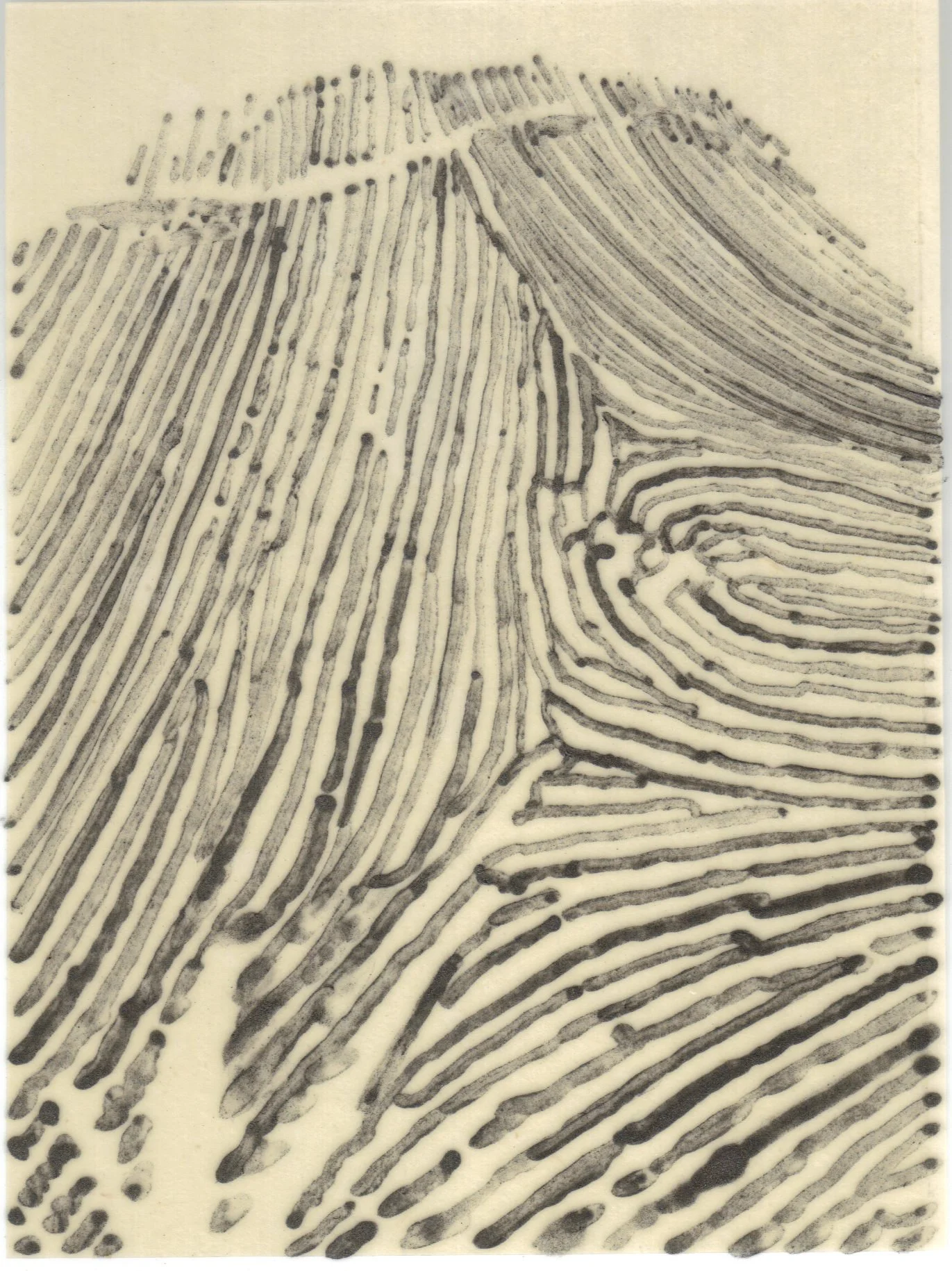 Meditation on Skin 84.jpg