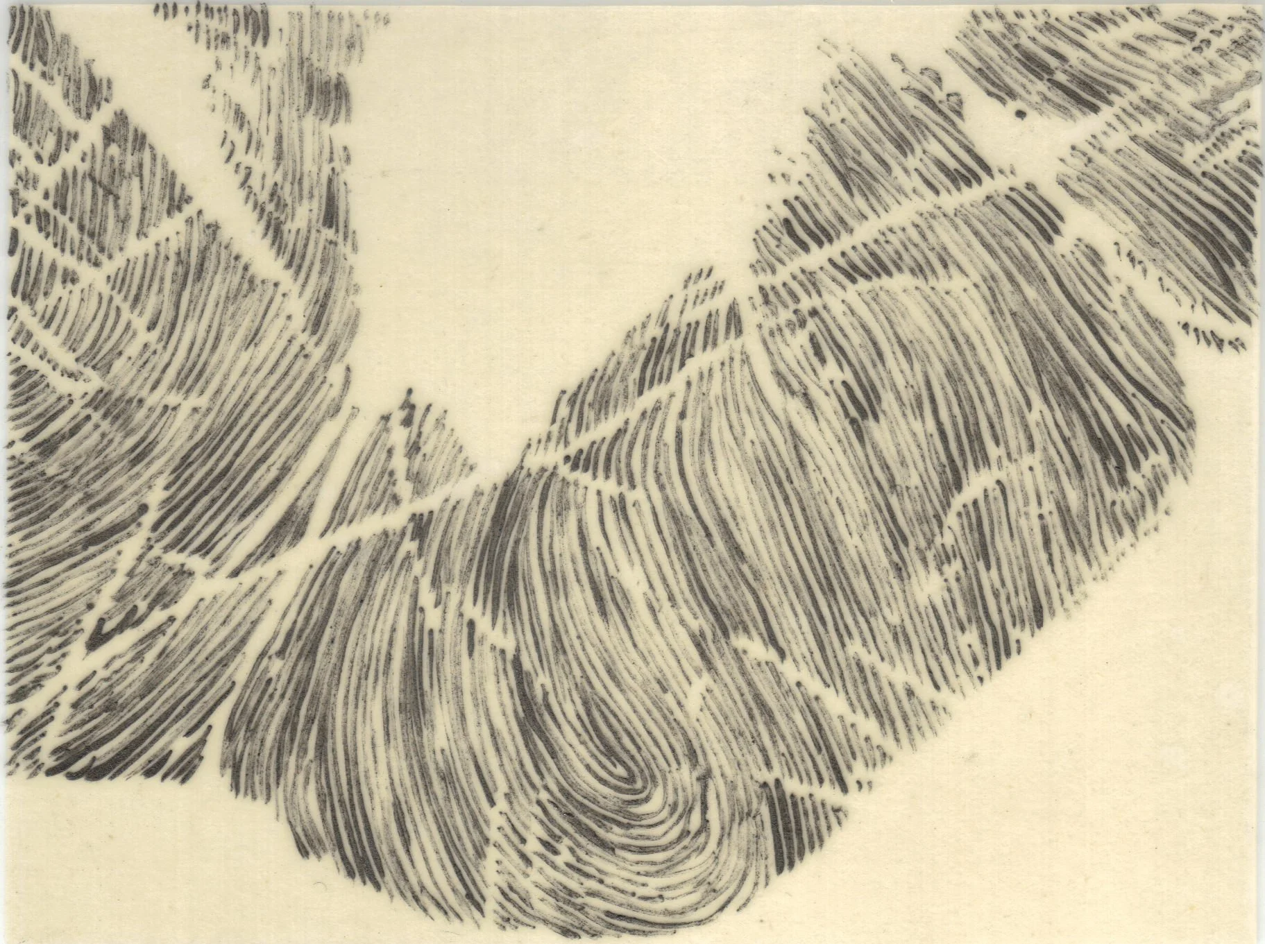 Meditation on Skin 62.jpg