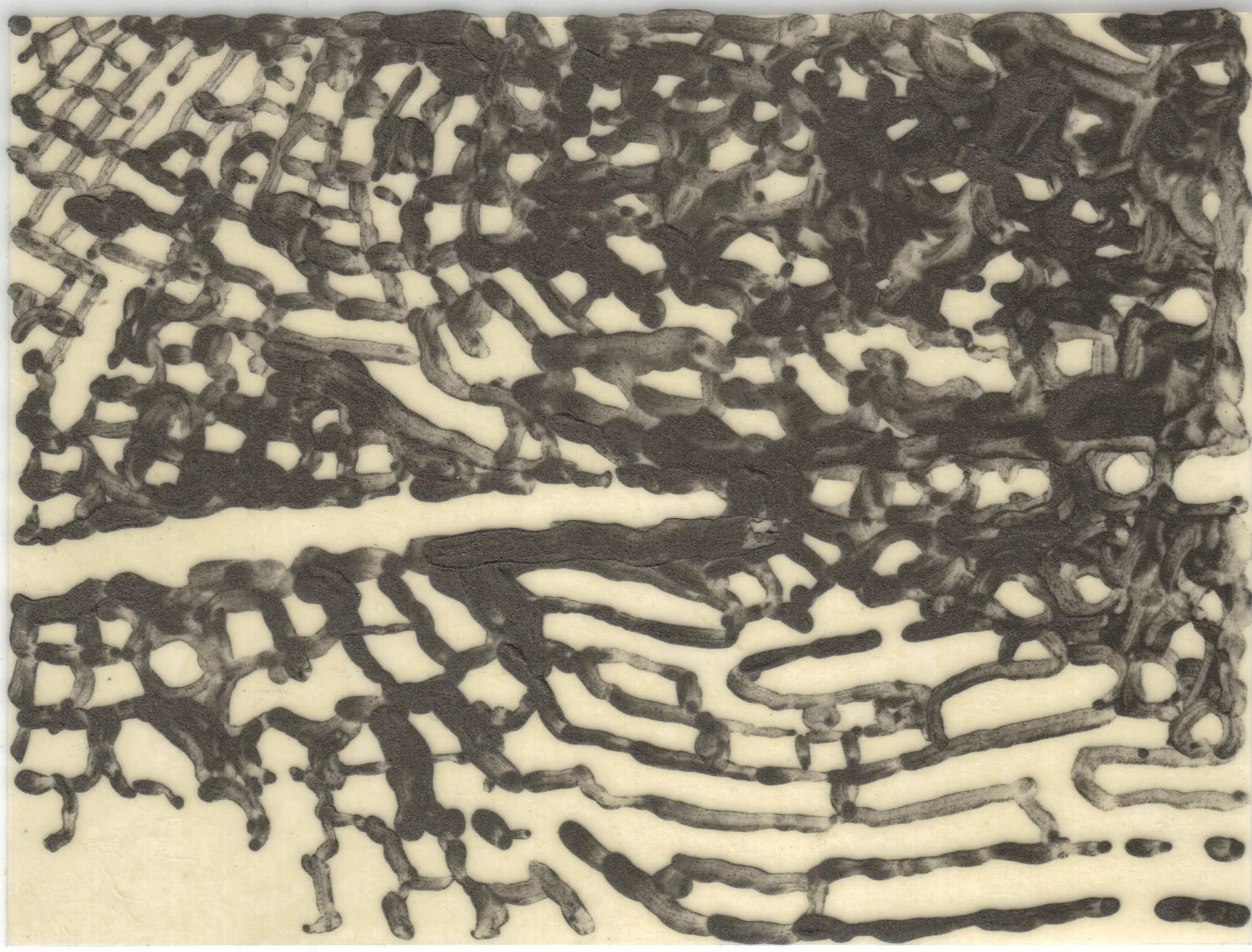Meditation on Skin 74.jpg